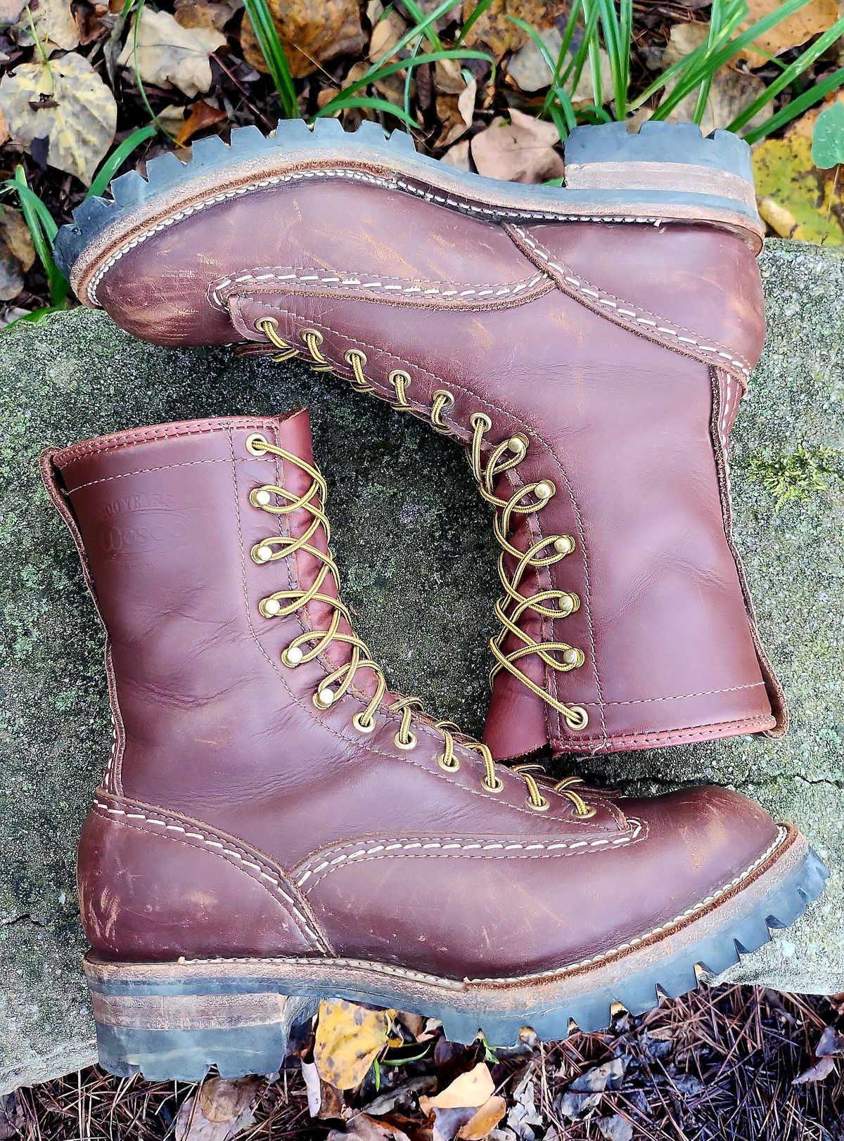 Photo by Zeonic on November 1, 2024 of the Wesco Jobmaster in Seidel Red Dog Oil Tan.