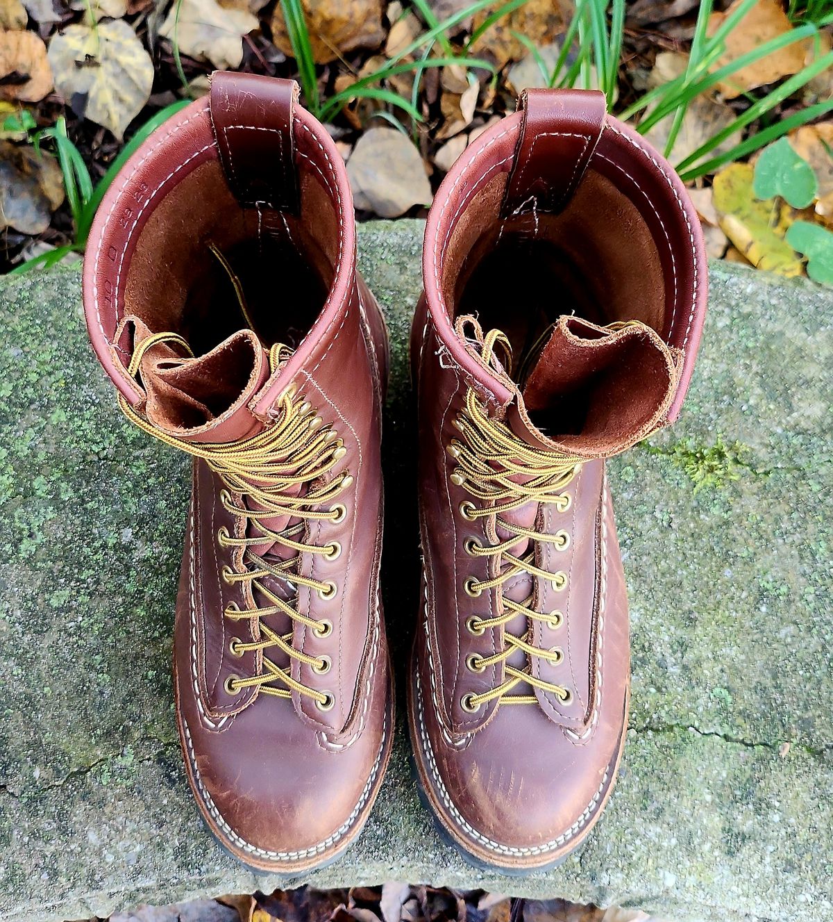 Photo by Zeonic on November 1, 2024 of the Wesco Jobmaster in Seidel Red Dog Oil Tan.