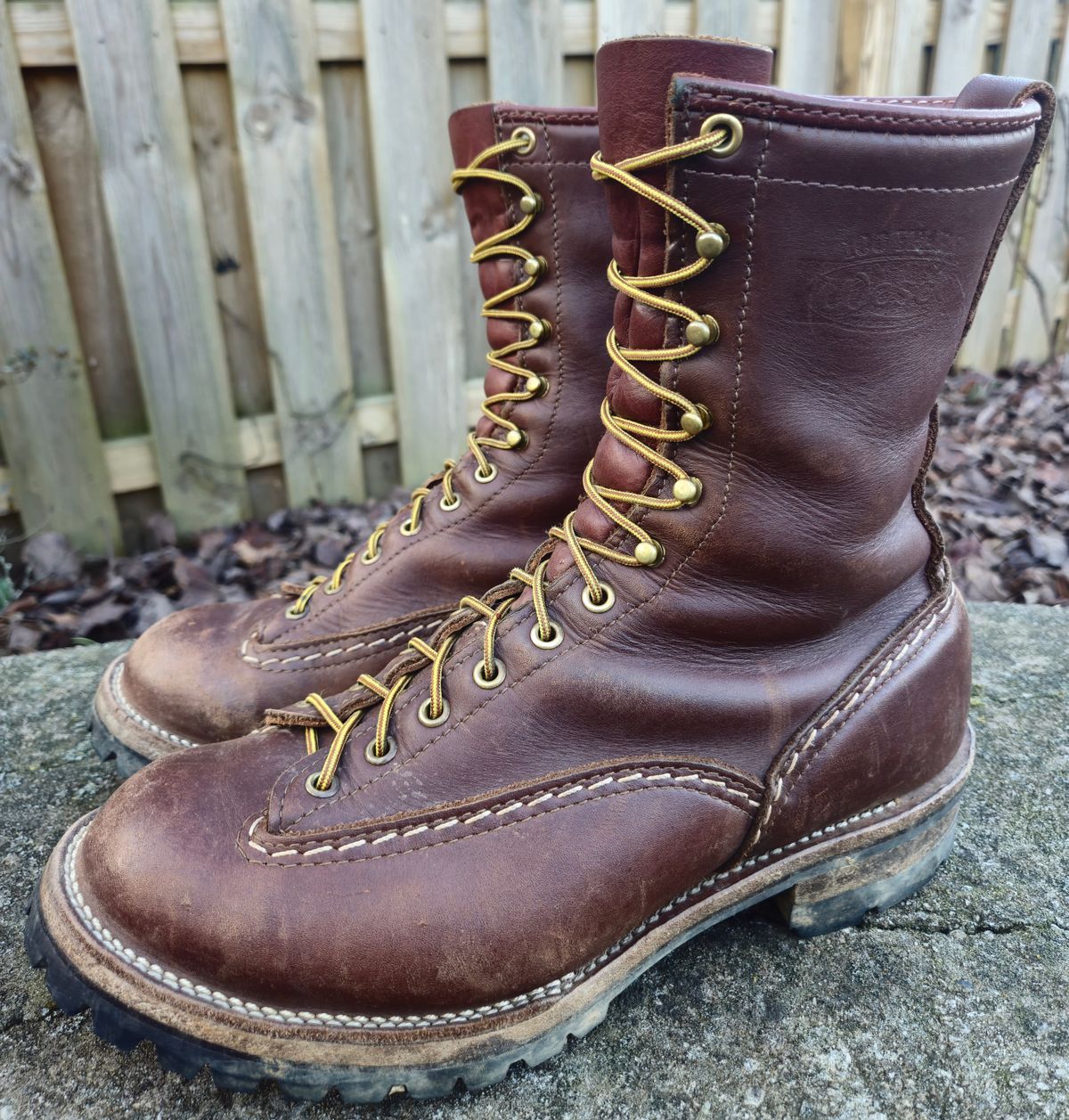 Photo by Zeonic on January 4, 2025 of the Wesco Jobmaster in Seidel Red Dog Oil Tan.