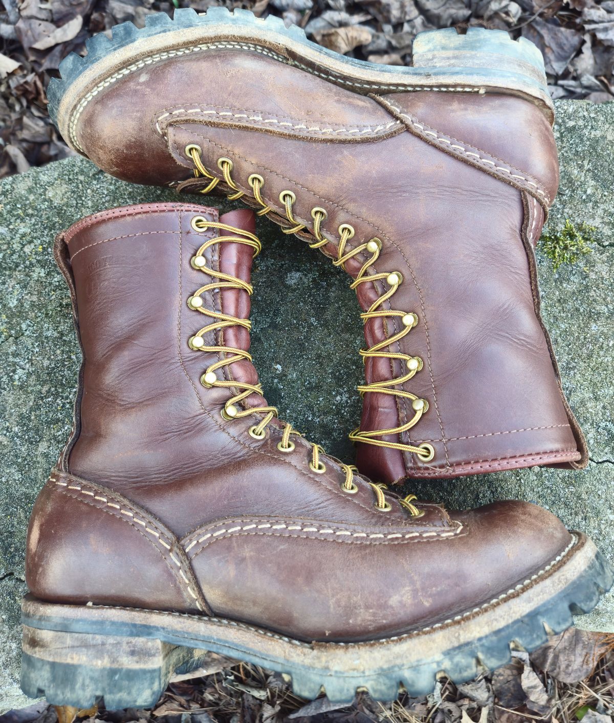 Photo by Zeonic on January 4, 2025 of the Wesco Jobmaster in Seidel Red Dog Oil Tan.