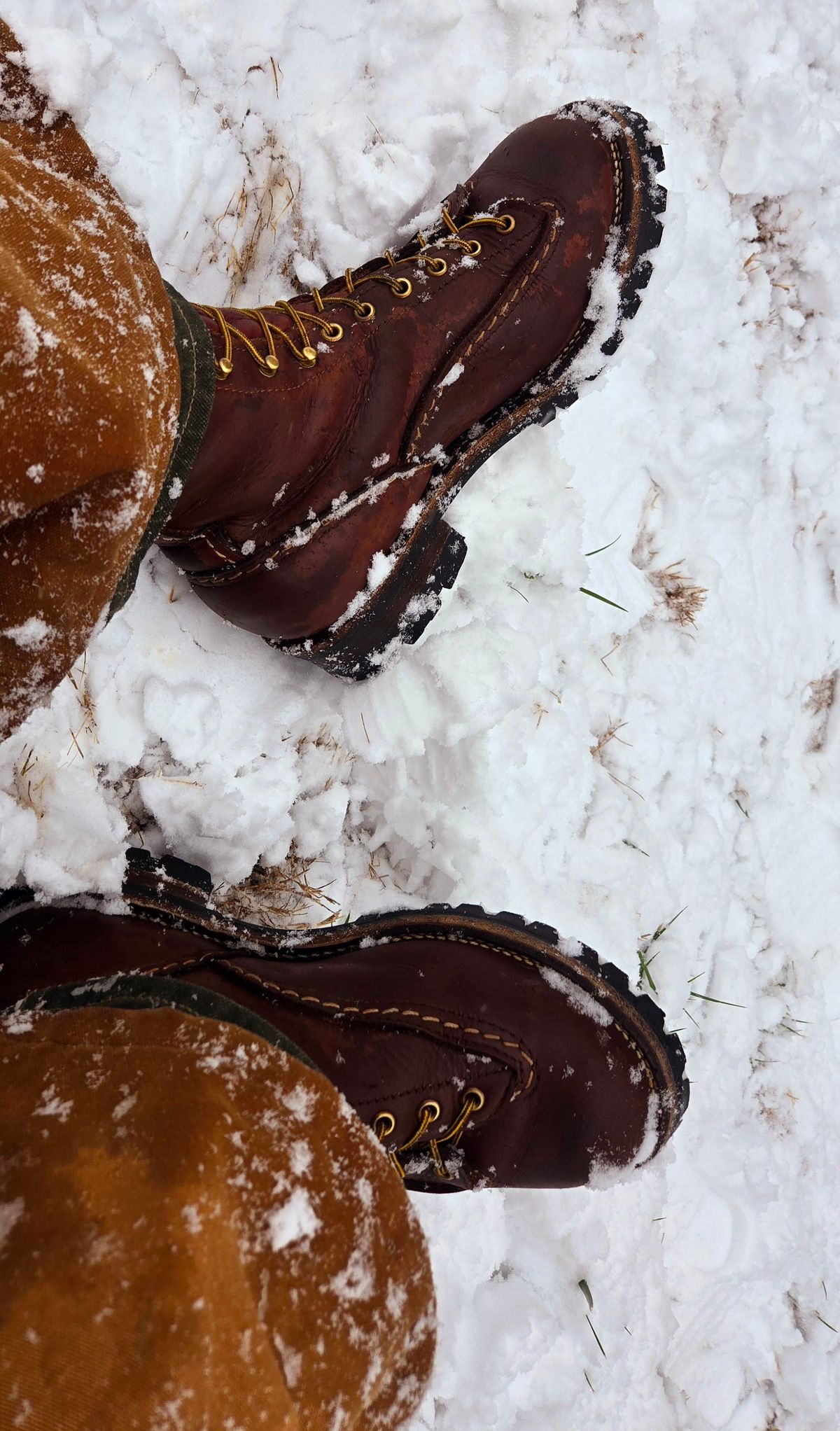 Photo by Zeonic on January 10, 2025 of the Wesco Jobmaster in Seidel Red Dog Oil Tan.