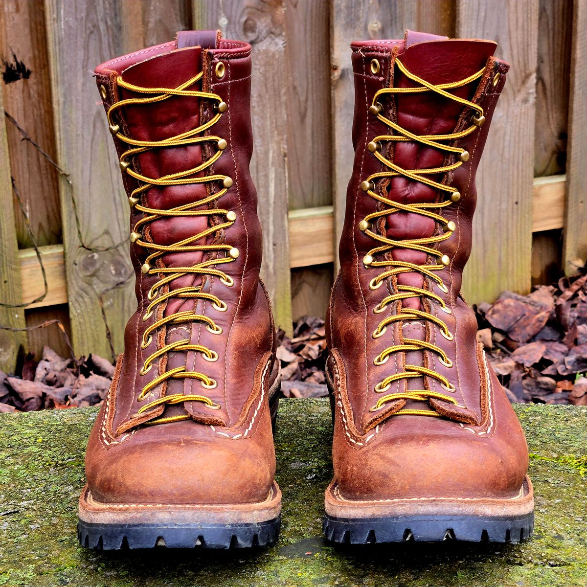 Photo by Zeonic on February 1, 2025 of the Wesco Jobmaster in Seidel Red Dog Oil Tan.
