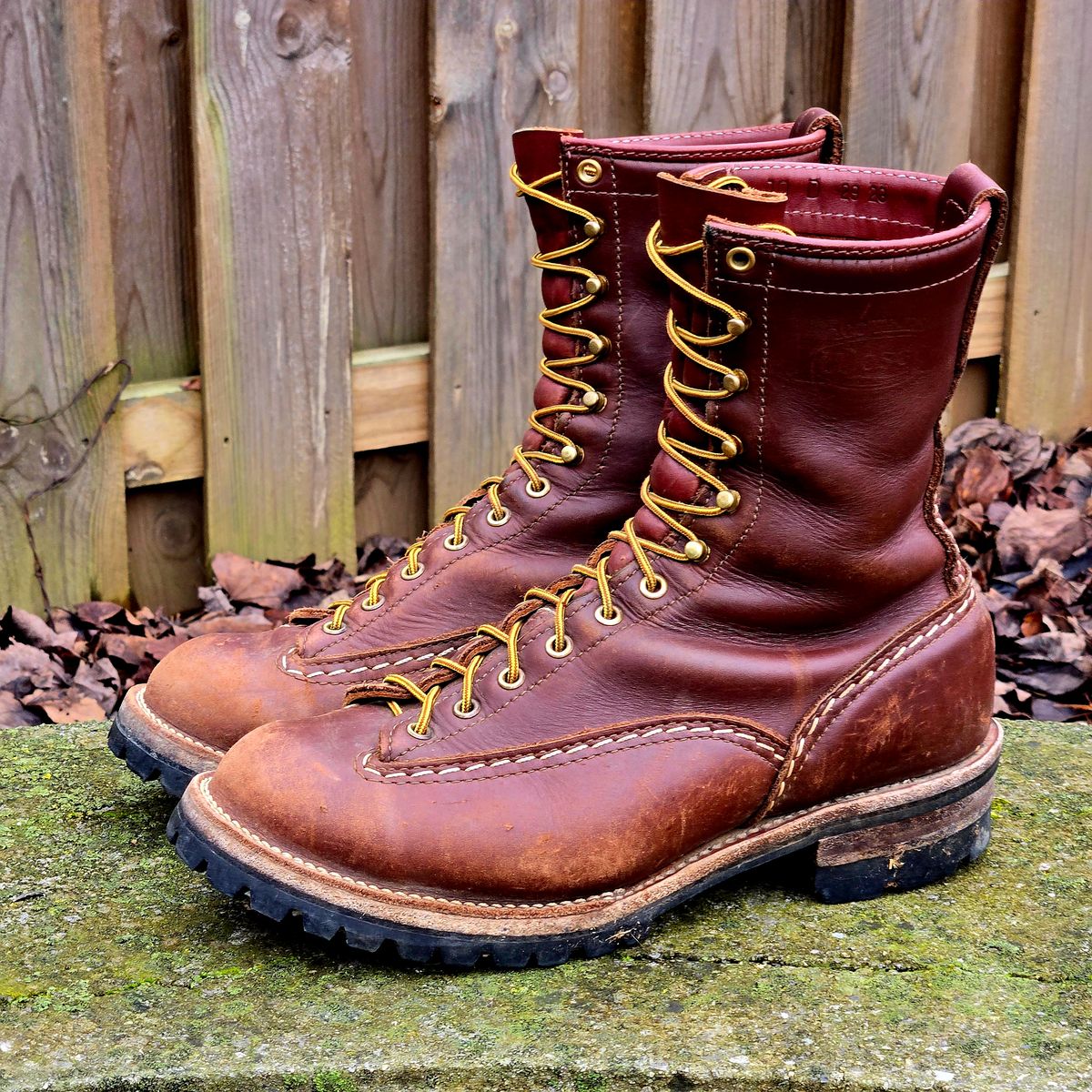 Photo by Zeonic on February 1, 2025 of the Wesco Jobmaster in Seidel Red Dog Oil Tan.