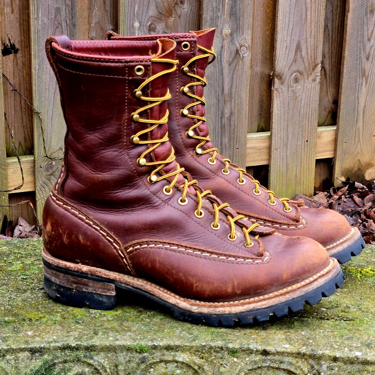 Photo by Zeonic on February 1, 2025 of the Wesco Jobmaster in Seidel Red Dog Oil Tan.