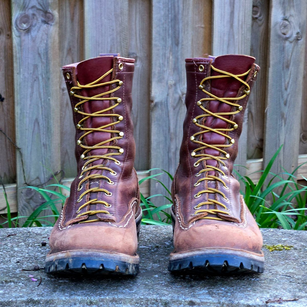 Photo by Zeonic on April 1, 2025 of the Wesco Jobmaster in Seidel Red Dog Oil Tan.