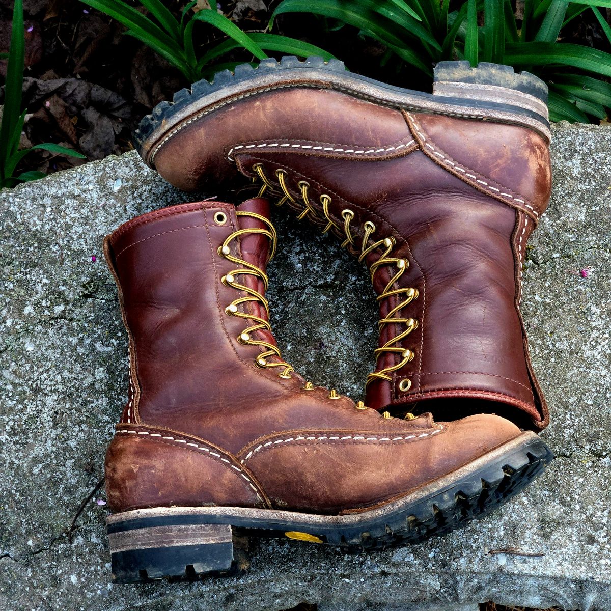 Photo by Zeonic on April 2, 2025 of the Wesco Jobmaster in Seidel Red Dog Oil Tan.
