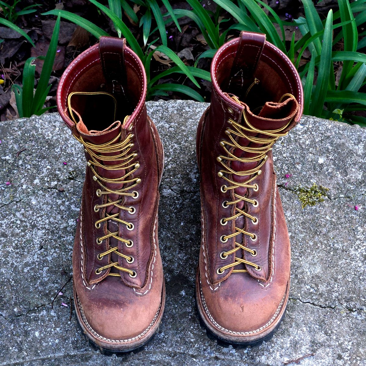 Photo by Zeonic on April 2, 2025 of the Wesco Jobmaster in Seidel Red Dog Oil Tan.
