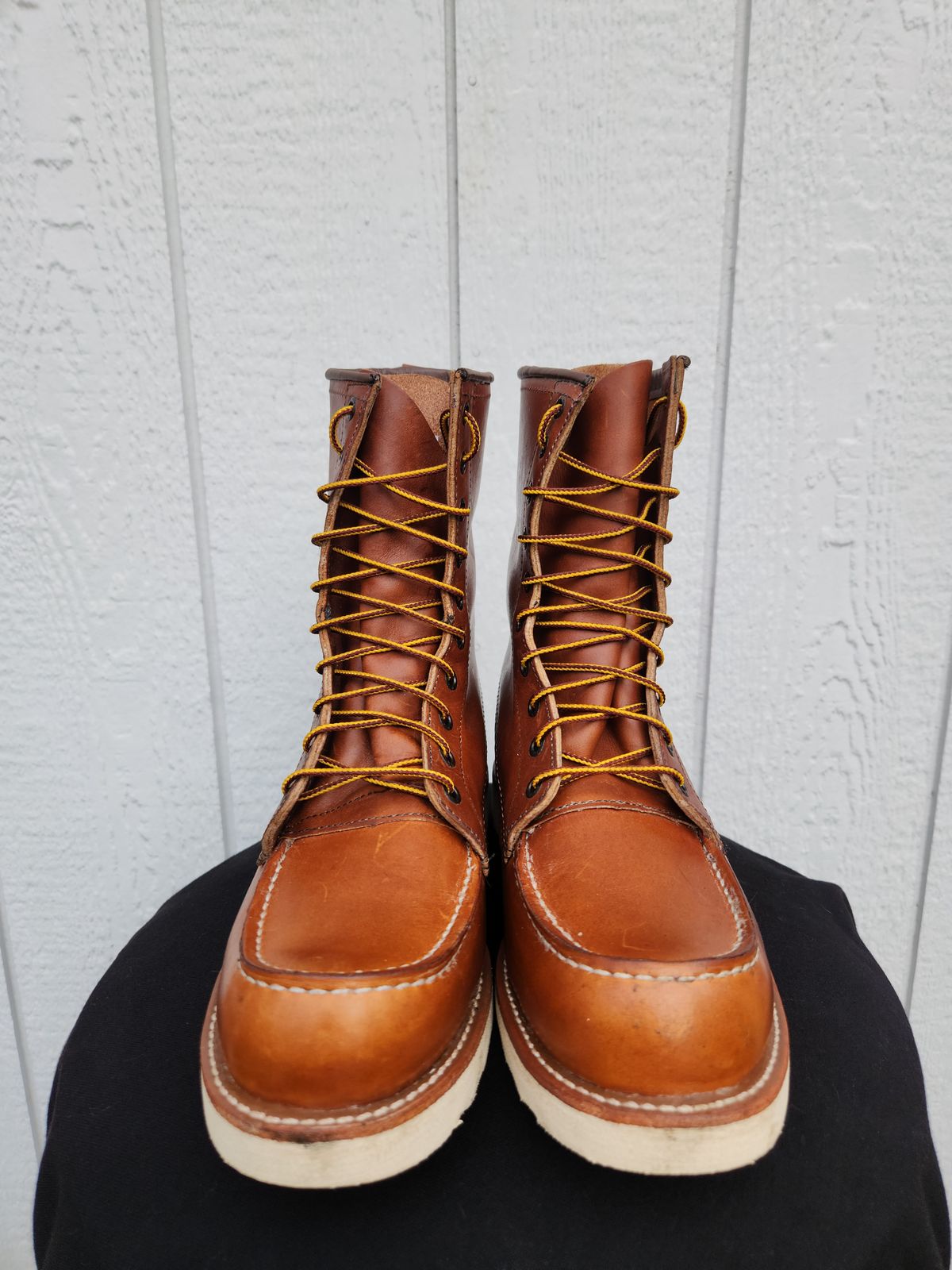 Photo by Longshot on October 1, 2023 of the Red Wing 8-Inch Classic Moc in S.B. Foot Oro-Iginal.