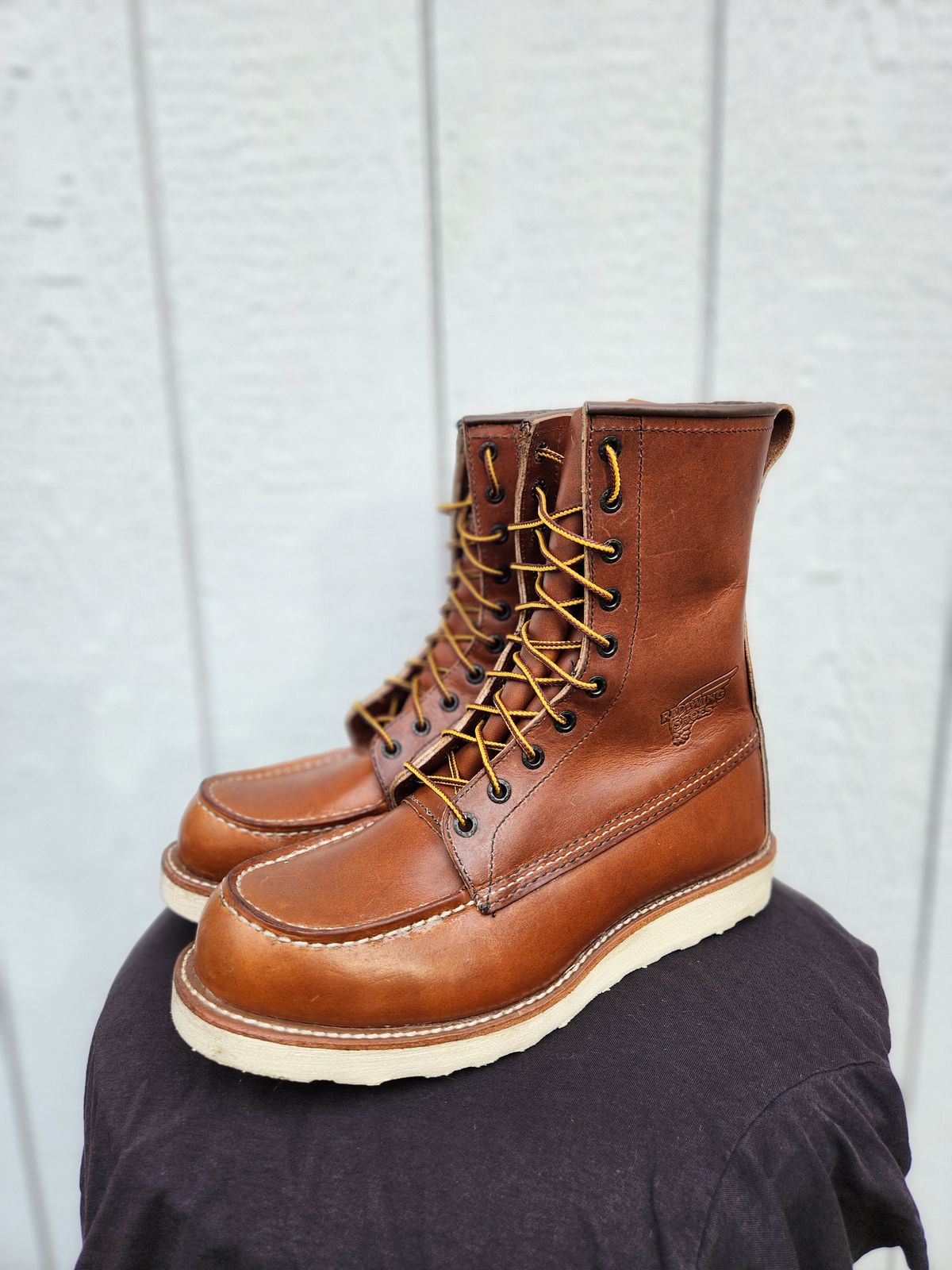 Photo by Longshot on October 1, 2023 of the Red Wing 8-Inch Classic Moc in S.B. Foot Oro-Iginal.