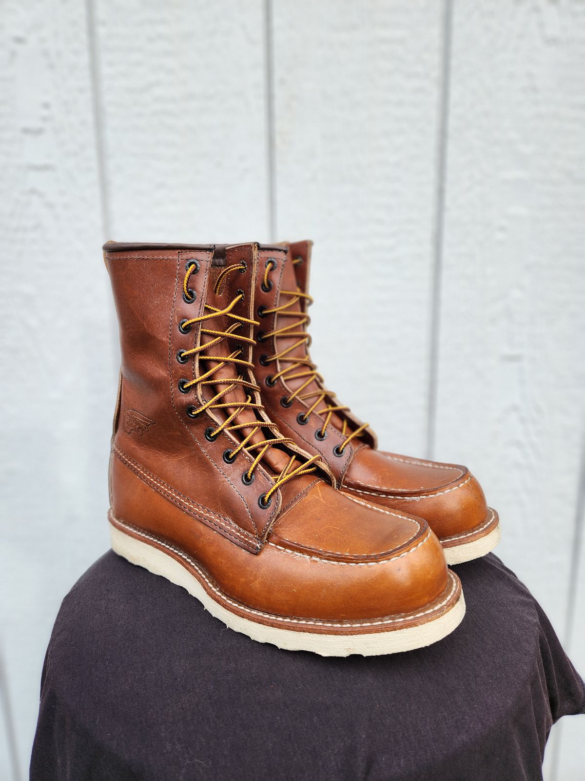 Photo by Longshot on October 1, 2023 of the Red Wing 8-Inch Classic Moc in S.B. Foot Oro-Iginal.