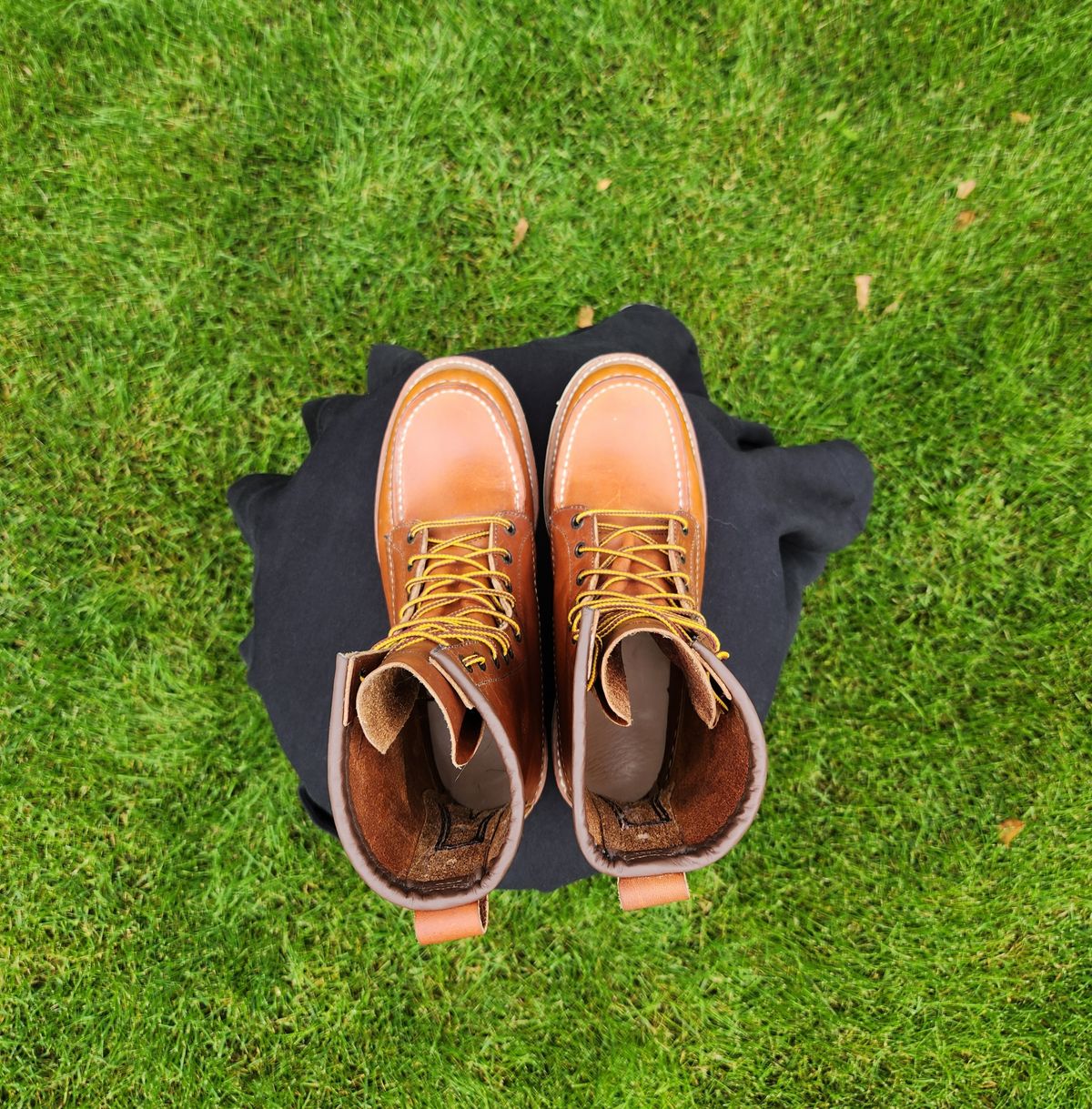 Photo by Longshot on October 1, 2023 of the Red Wing 8-Inch Classic Moc in S.B. Foot Oro-Iginal.