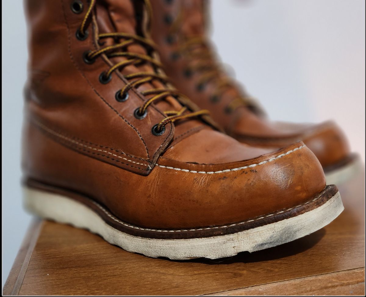 Photo by Longshot on October 11, 2023 of the Red Wing 8-Inch Classic Moc in S.B. Foot Oro-Iginal.