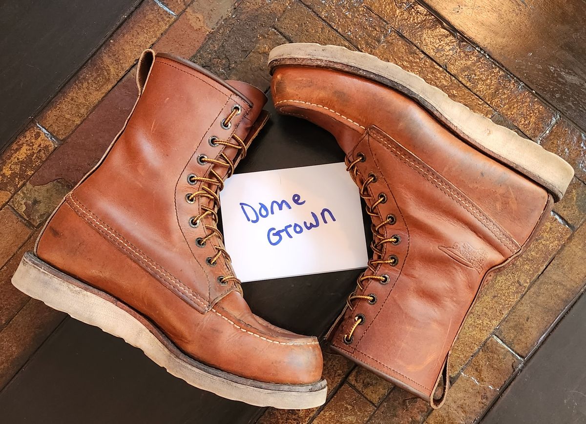 Photo by Longshot on November 1, 2023 of the Red Wing 8-Inch Classic Moc in S.B. Foot Oro-Iginal.