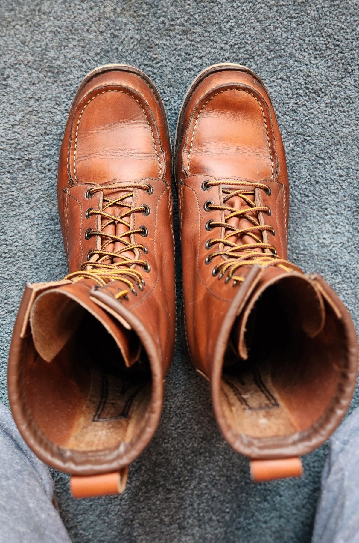 Photo by Longshot on December 4, 2023 of the Red Wing 8-Inch Classic Moc in S.B. Foot Oro-Iginal.
