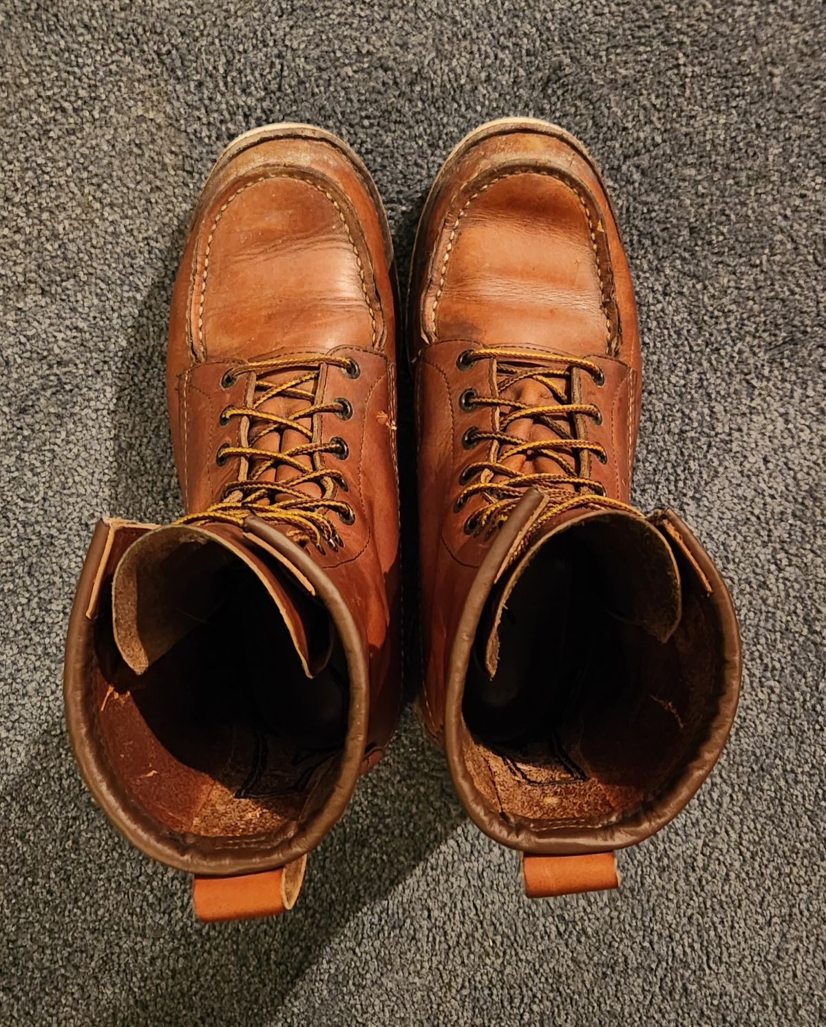 Photo by Longshot on January 5, 2024 of the Red Wing 8-Inch Classic Moc in S.B. Foot Oro-Iginal.