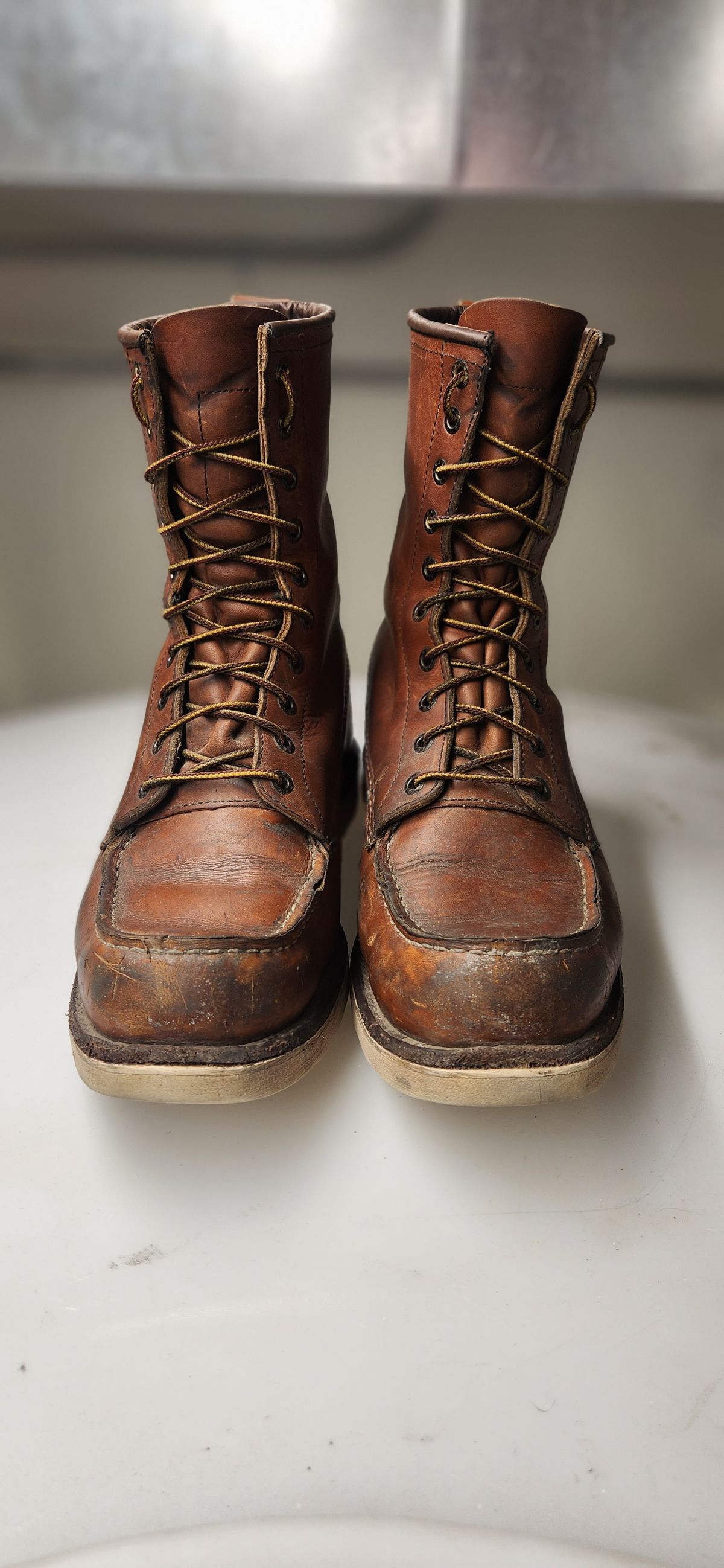 Photo by Longshot on February 5, 2024 of the Red Wing 8-Inch Classic Moc in S.B. Foot Oro-Iginal.