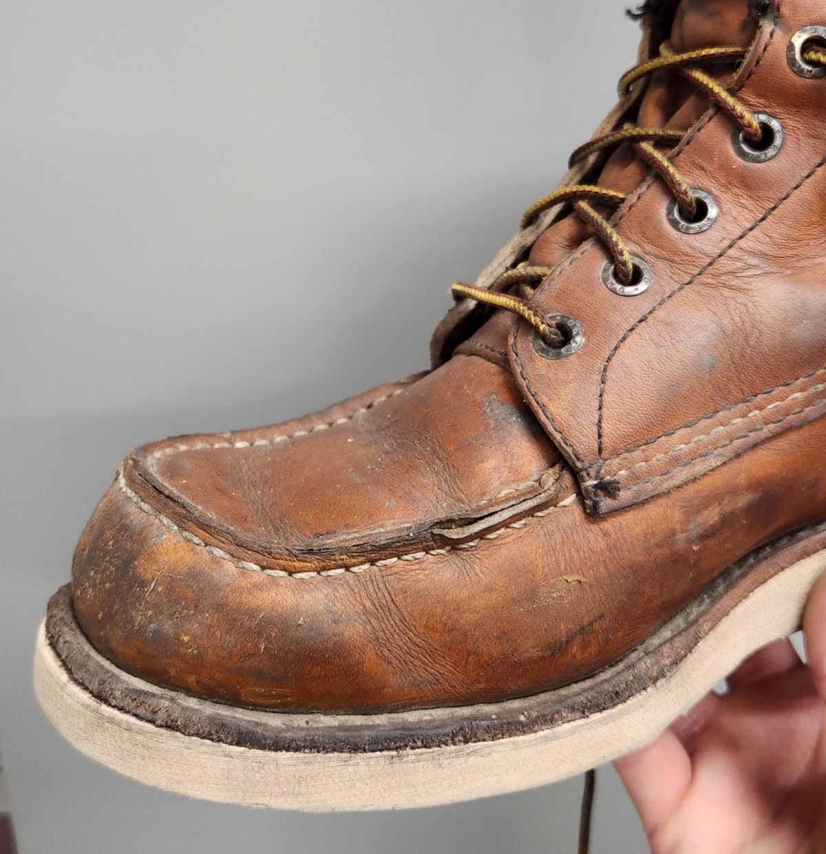 Photo by Longshot on February 5, 2024 of the Red Wing 8-Inch Classic Moc in S.B. Foot Oro-Iginal.