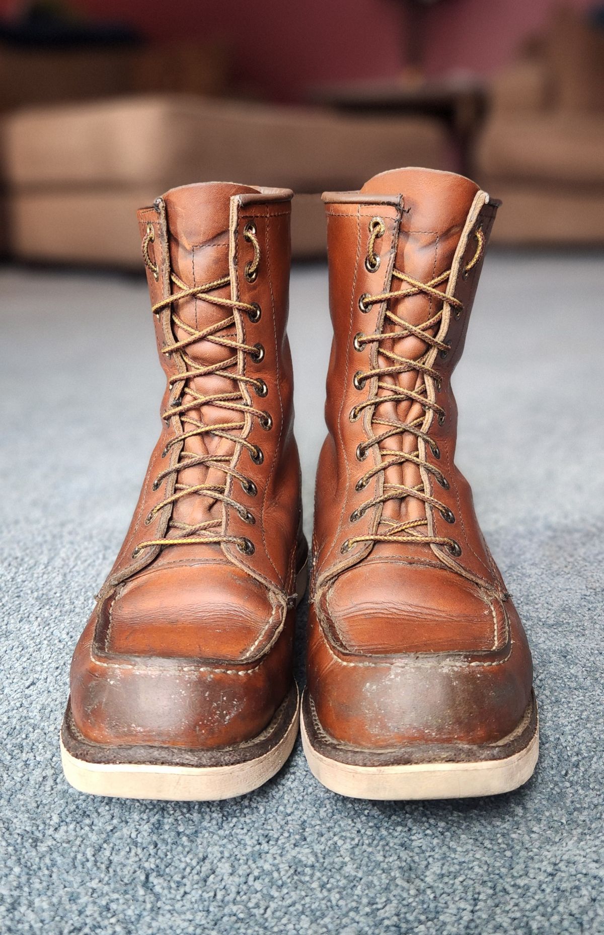 Photo by Longshot on March 5, 2024 of the Red Wing 8-Inch Classic Moc in S.B. Foot Oro-Iginal.