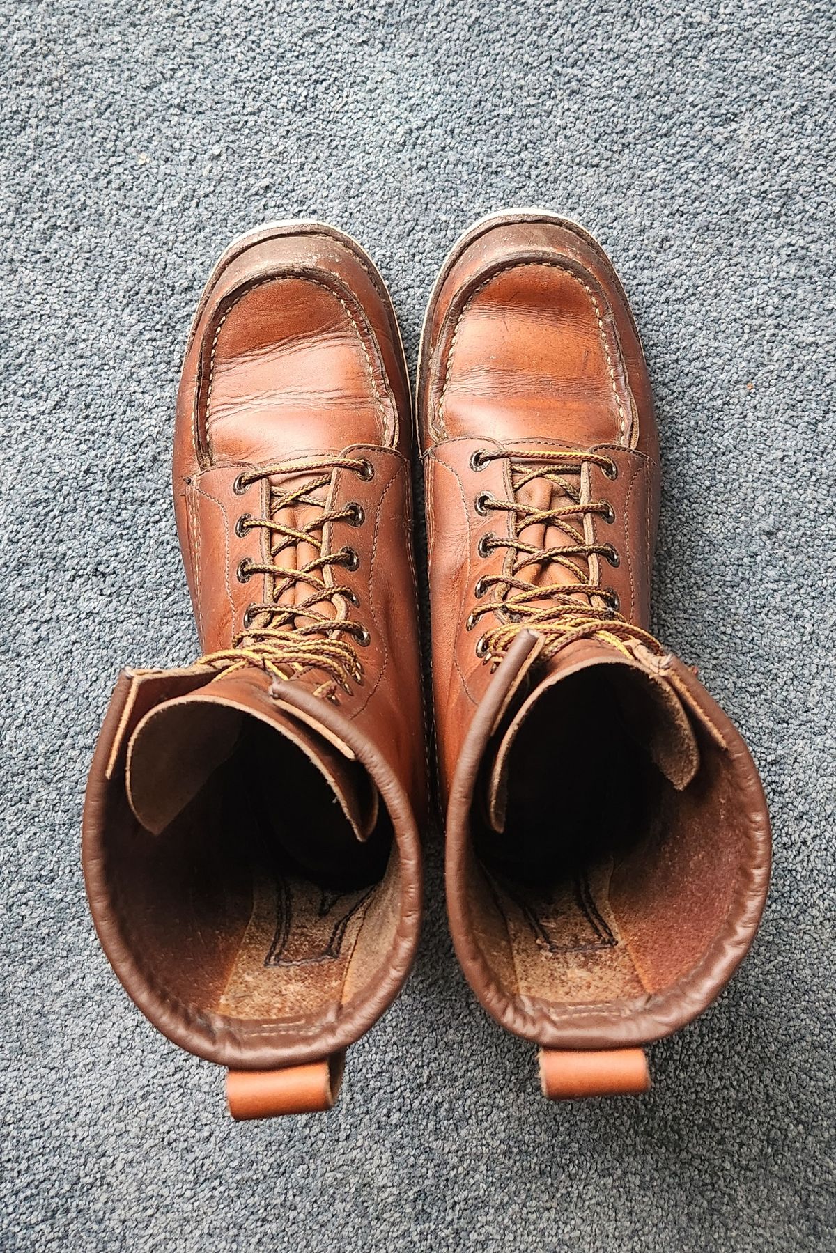 Photo by Longshot on March 5, 2024 of the Red Wing 8-Inch Classic Moc in S.B. Foot Oro-Iginal.