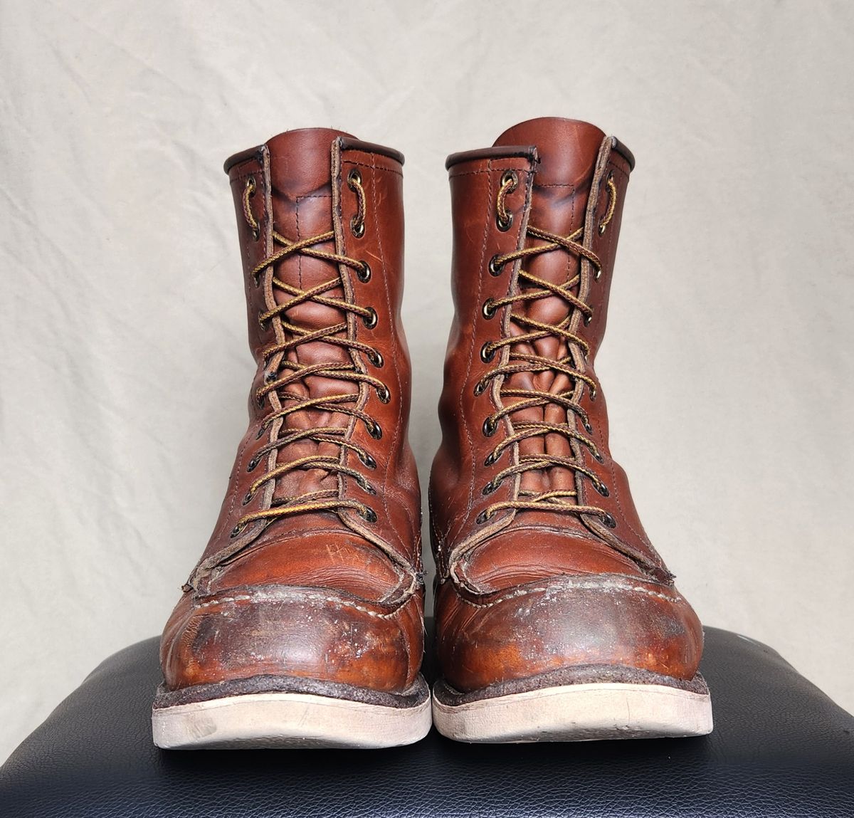 Photo by Longshot on April 5, 2024 of the Red Wing 8-Inch Classic Moc in S.B. Foot Oro-Iginal.