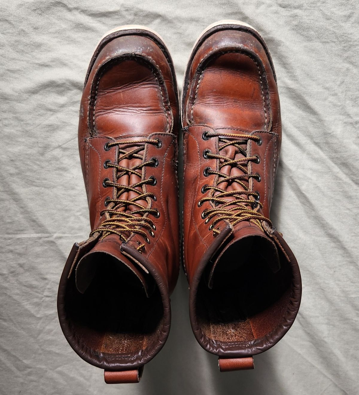 Photo by Longshot on April 5, 2024 of the Red Wing 8-Inch Classic Moc in S.B. Foot Oro-Iginal.