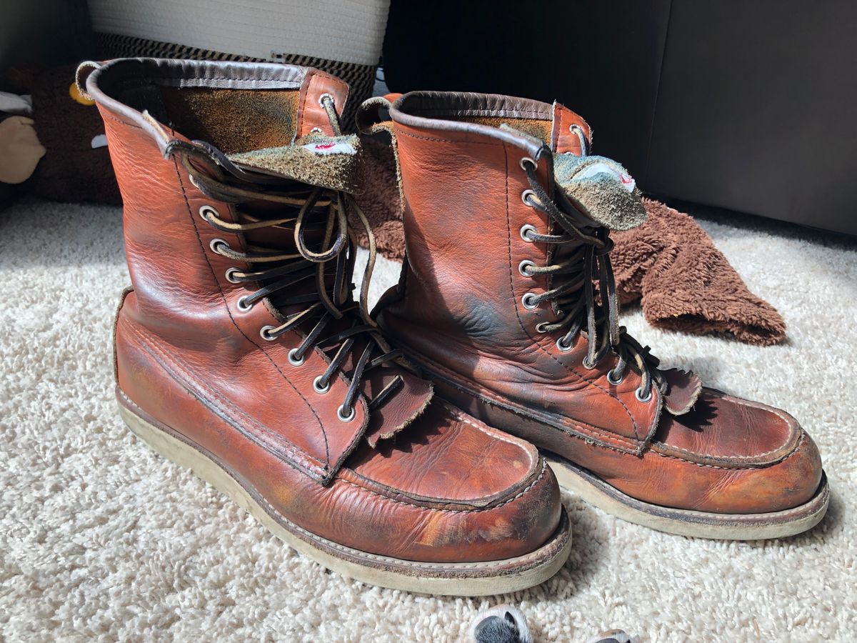 Photo by blinkerfluid on September 15, 2023 of the Red Wing 8-Inch Classic Moc in S.B. Foot Oro Legacy.