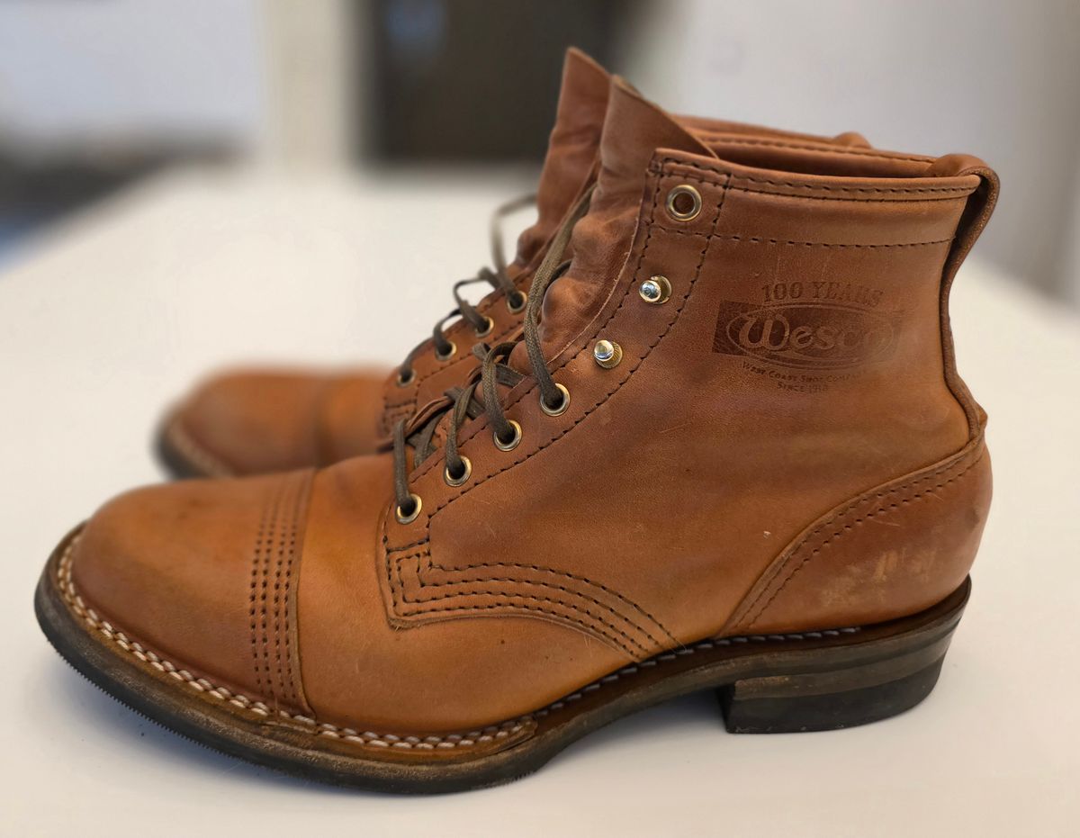 Photo by ironweasel_47 on December 5, 2025 of the Wesco Hendrik in Maryam Brucciato.