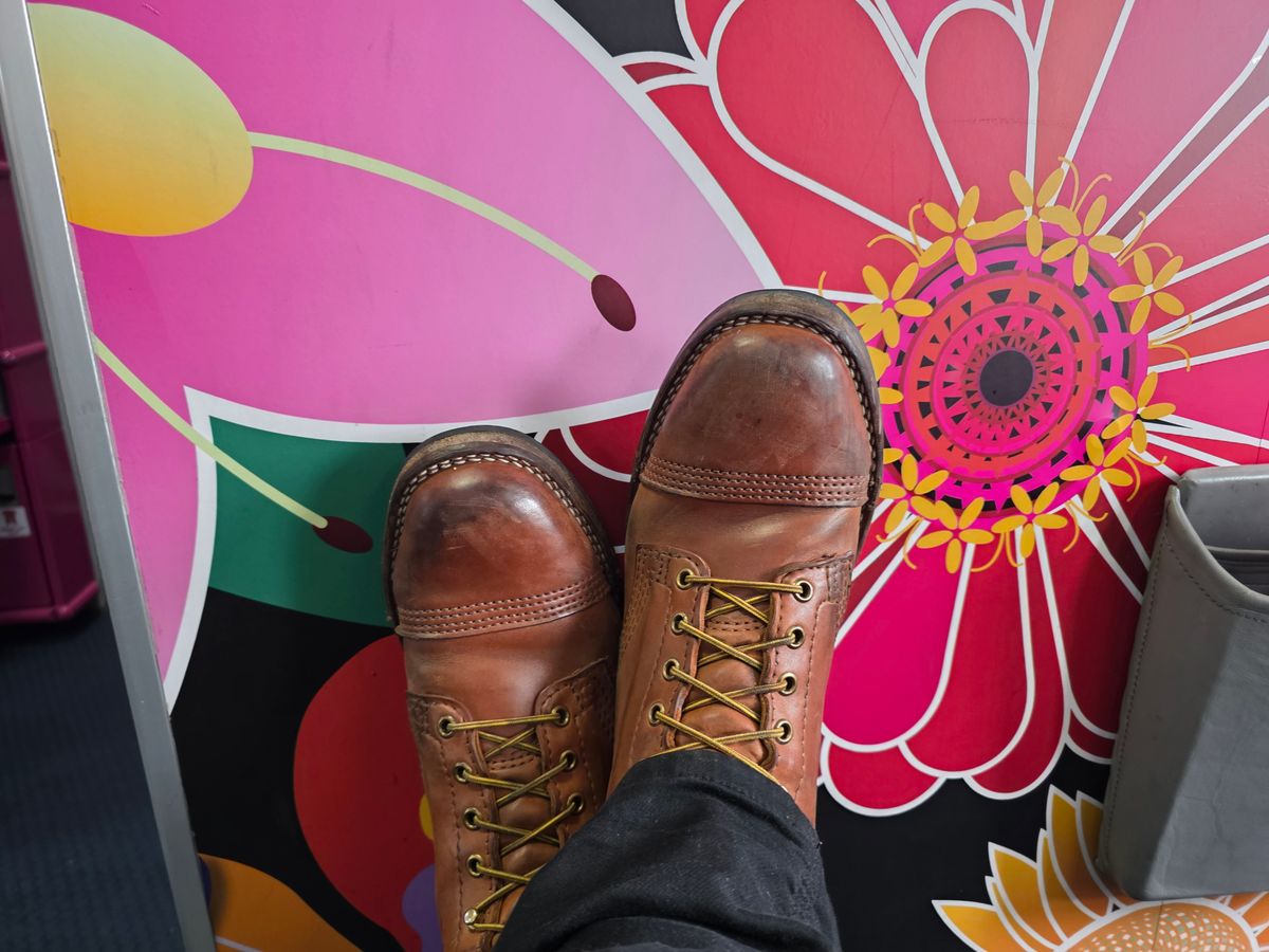 Photo by ironweasel_47 on March 30, 2026 of the Wesco Hendrik in Maryam Brucciato.