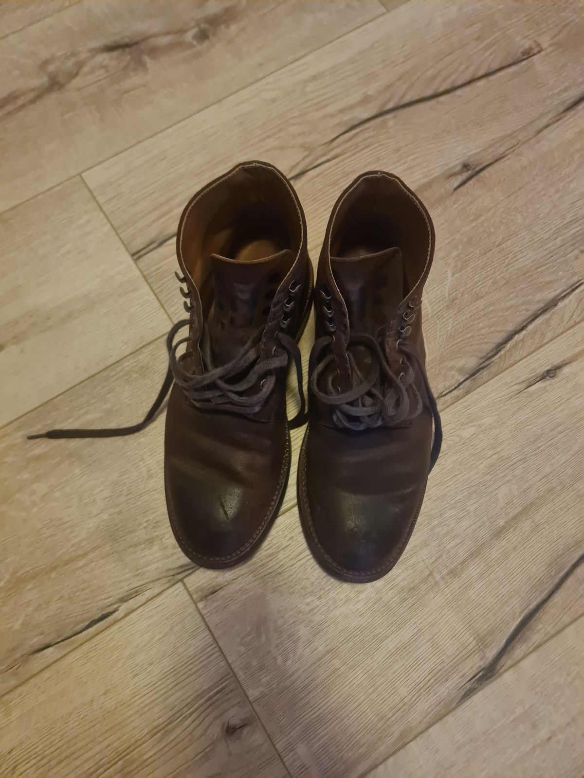 Photo by kamikazegeko on December 4, 2023 of the Grant Stone Edward Boot in C.F. Stead Tobacco Waxy Commander Suede.