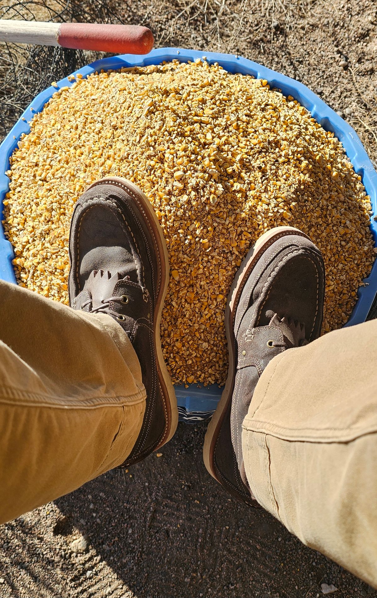 Photo by Spoon on January 4, 2024 of the Grant Stone Field Boot in C.F. Stead Earth Waxy Commander Suede.
