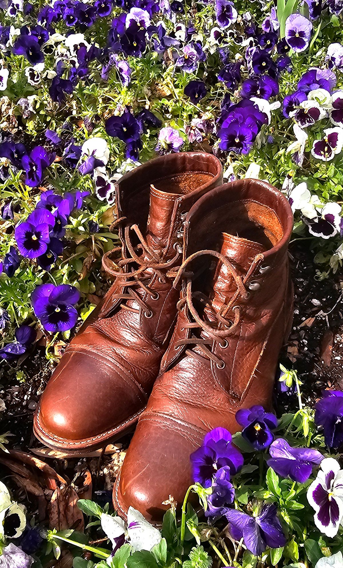 Photo by Spoon on April 5, 2026 of the Ariat Highland in Whiskey Bison.