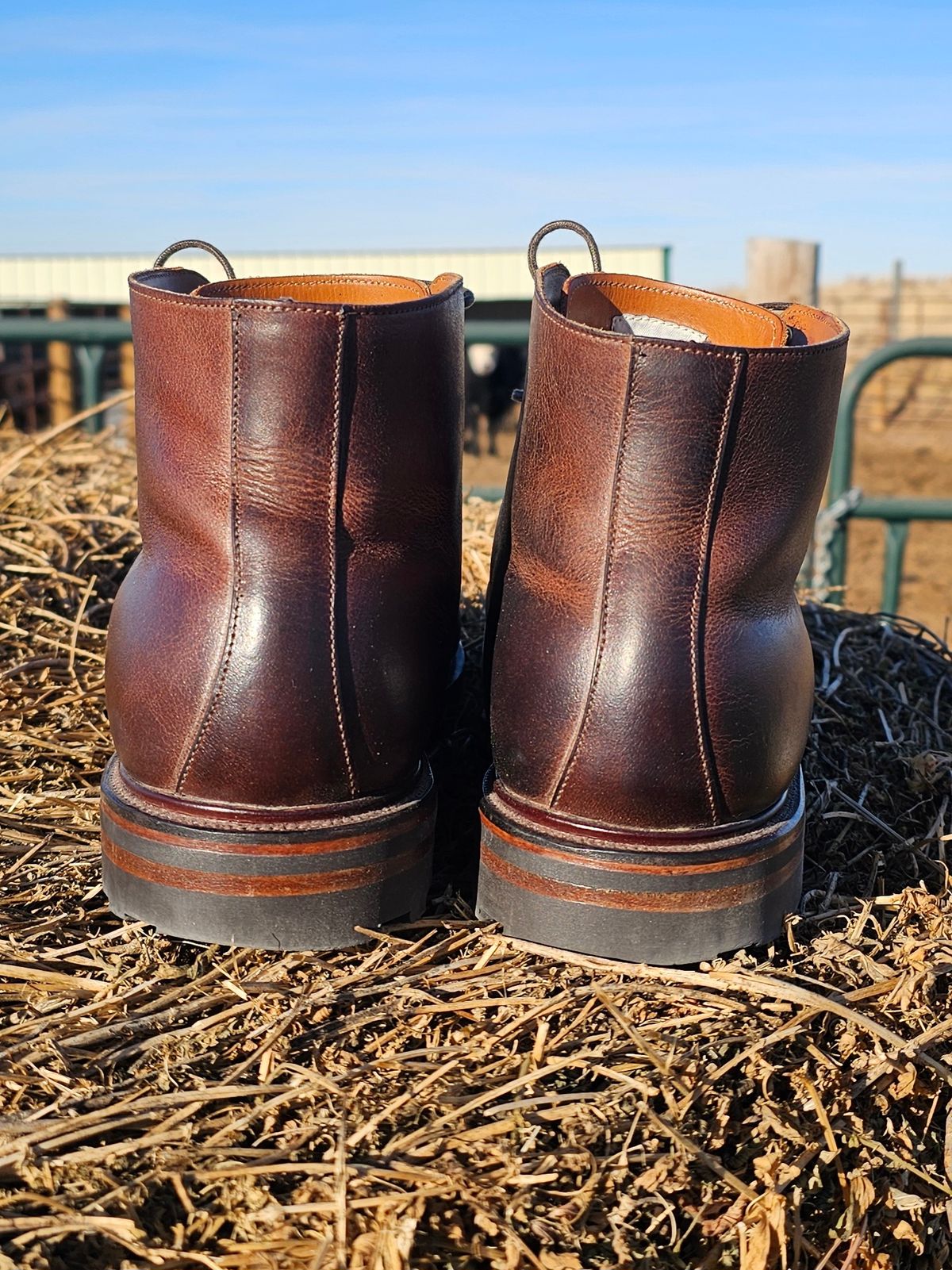 Photo by Spoon on January 4, 2024 of the Viberg Wholecut Derby Boot in Horween Rowdy Dachshund.