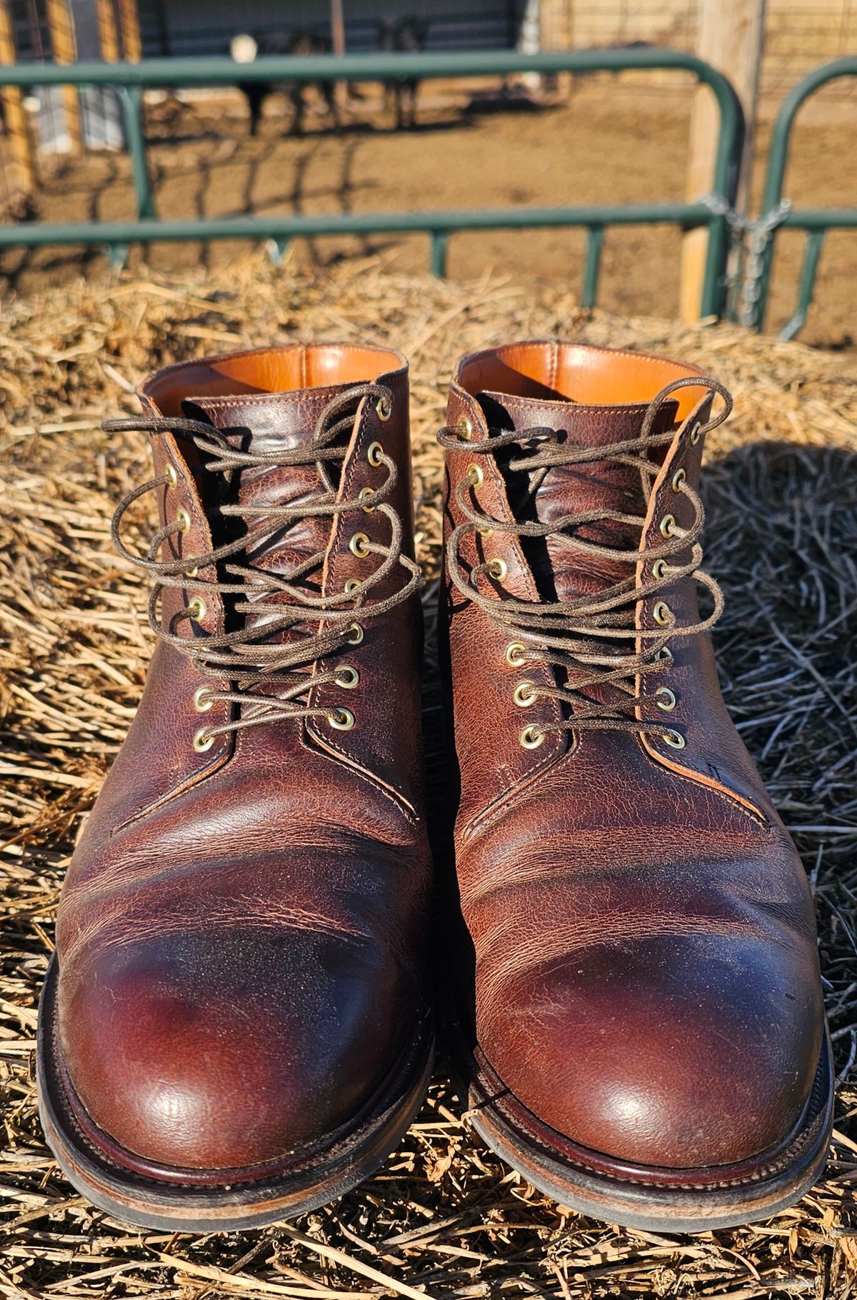 Photo by Spoon on January 4, 2024 of the Viberg Wholecut Derby Boot in Horween Rowdy Dachshund.