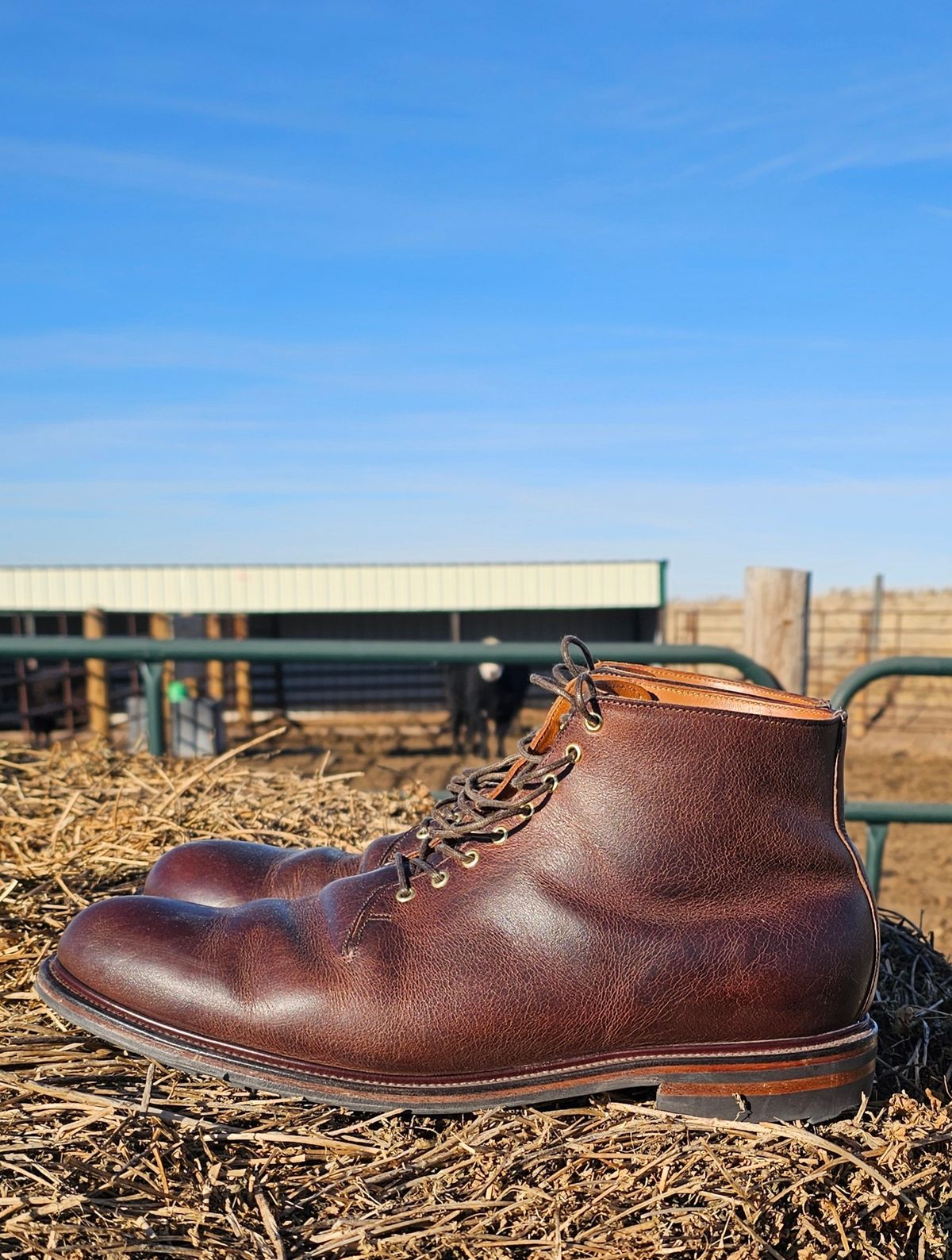 Photo by Spoon on January 4, 2024 of the Viberg Wholecut Derby Boot in Horween Rowdy Dachshund.