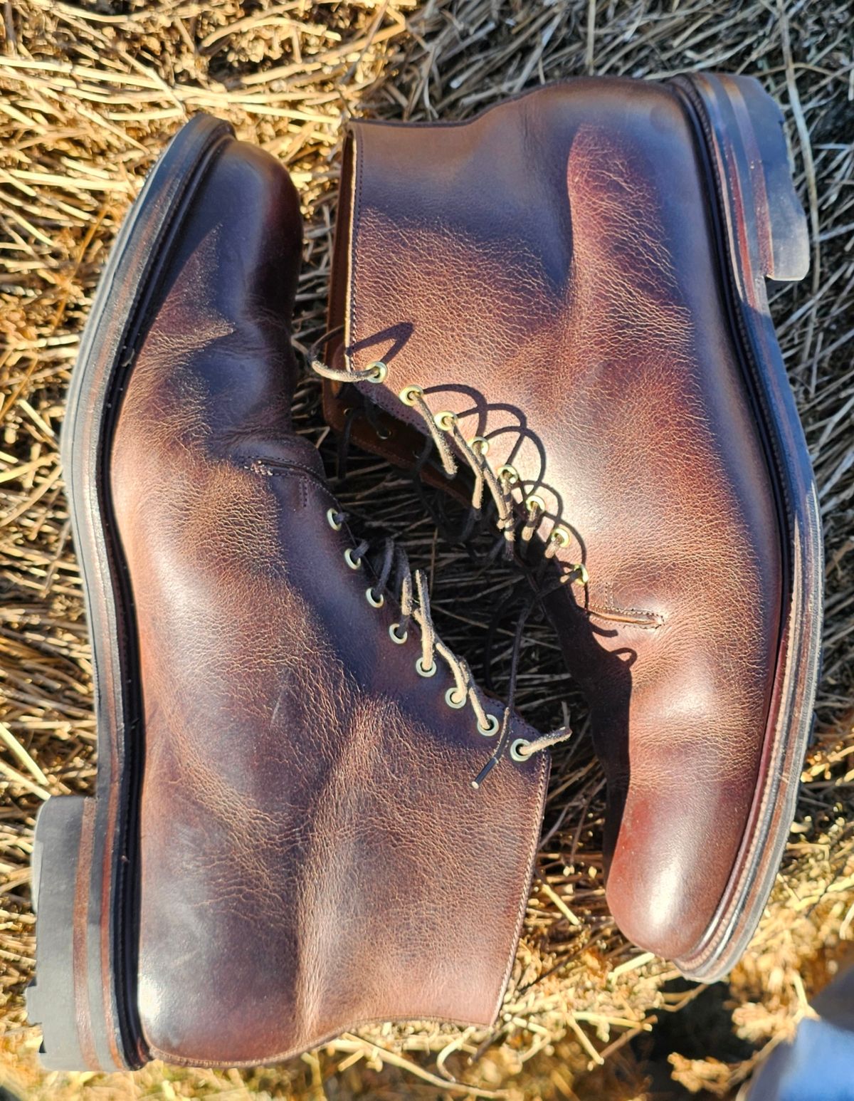 Photo by Spoon on January 4, 2024 of the Viberg Wholecut Derby Boot in Horween Rowdy Dachshund.