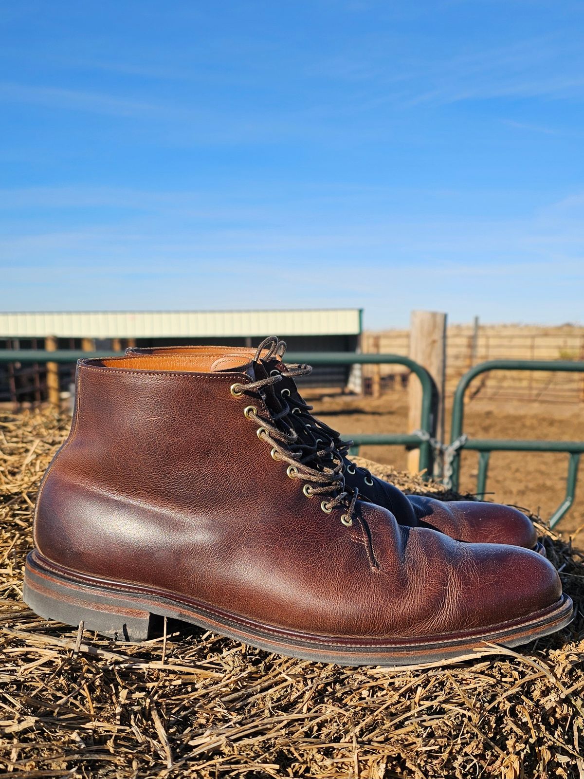 Photo by Spoon on January 4, 2024 of the Viberg Wholecut Derby Boot in Horween Rowdy Dachshund.