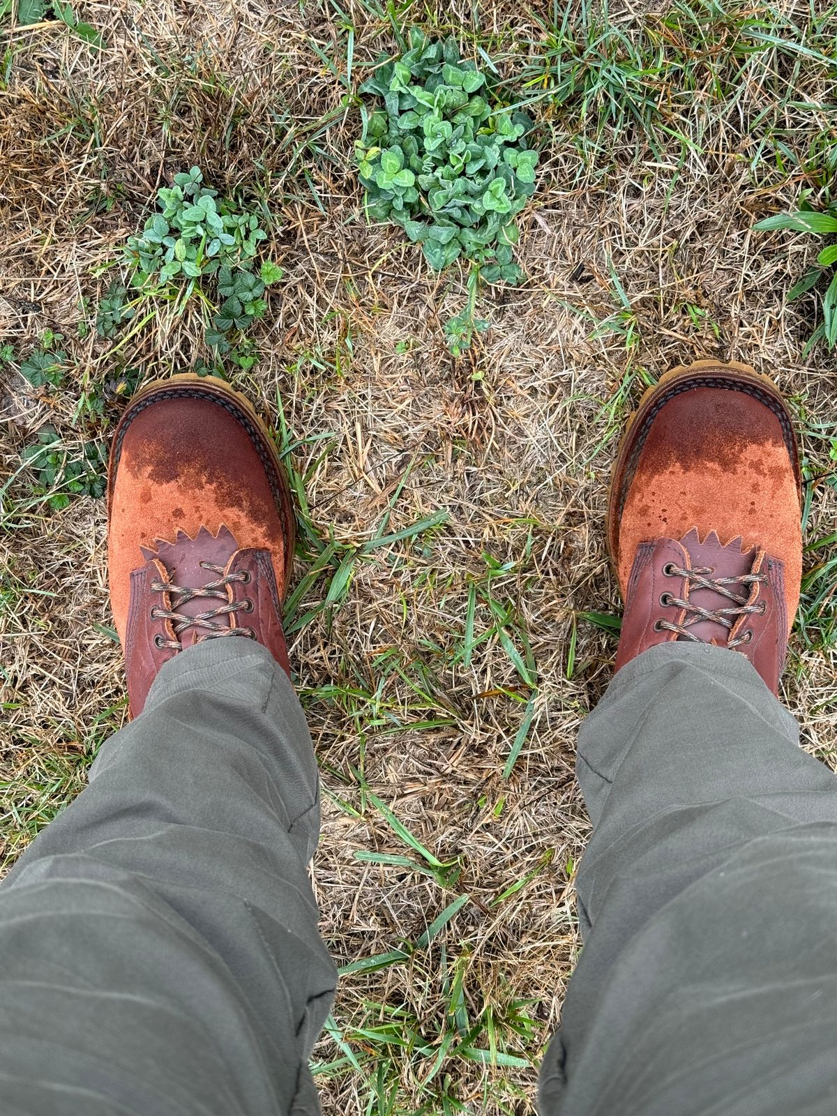 Photo by captain on September 28, 2024 of the JK Boots Superduty in Seidel Redwood Oil Tan.