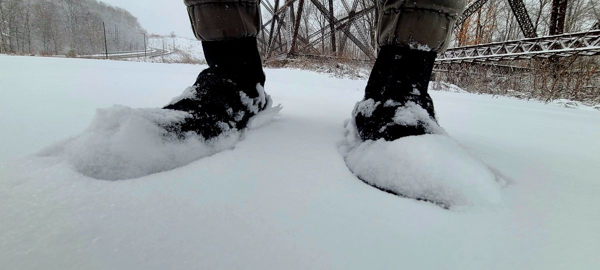 Photo by hoainp on January 6, 2025 of the Tricker's Stephen Chelsea Boot in Zonta Oceano Castorino Suede.