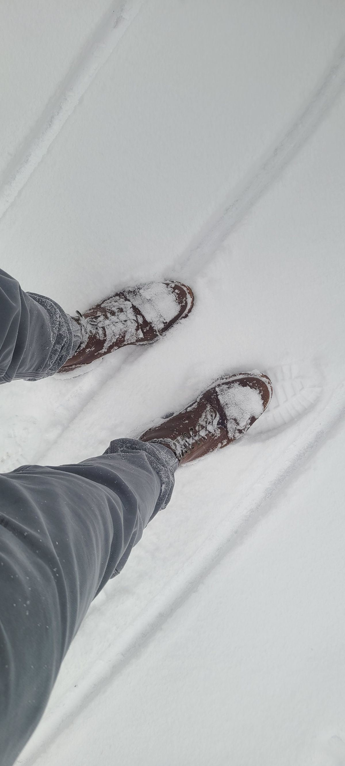 Photo by hoainp on November 16, 2025 of the Thursday Vanguard in Horween Natural Waxed Flesh.