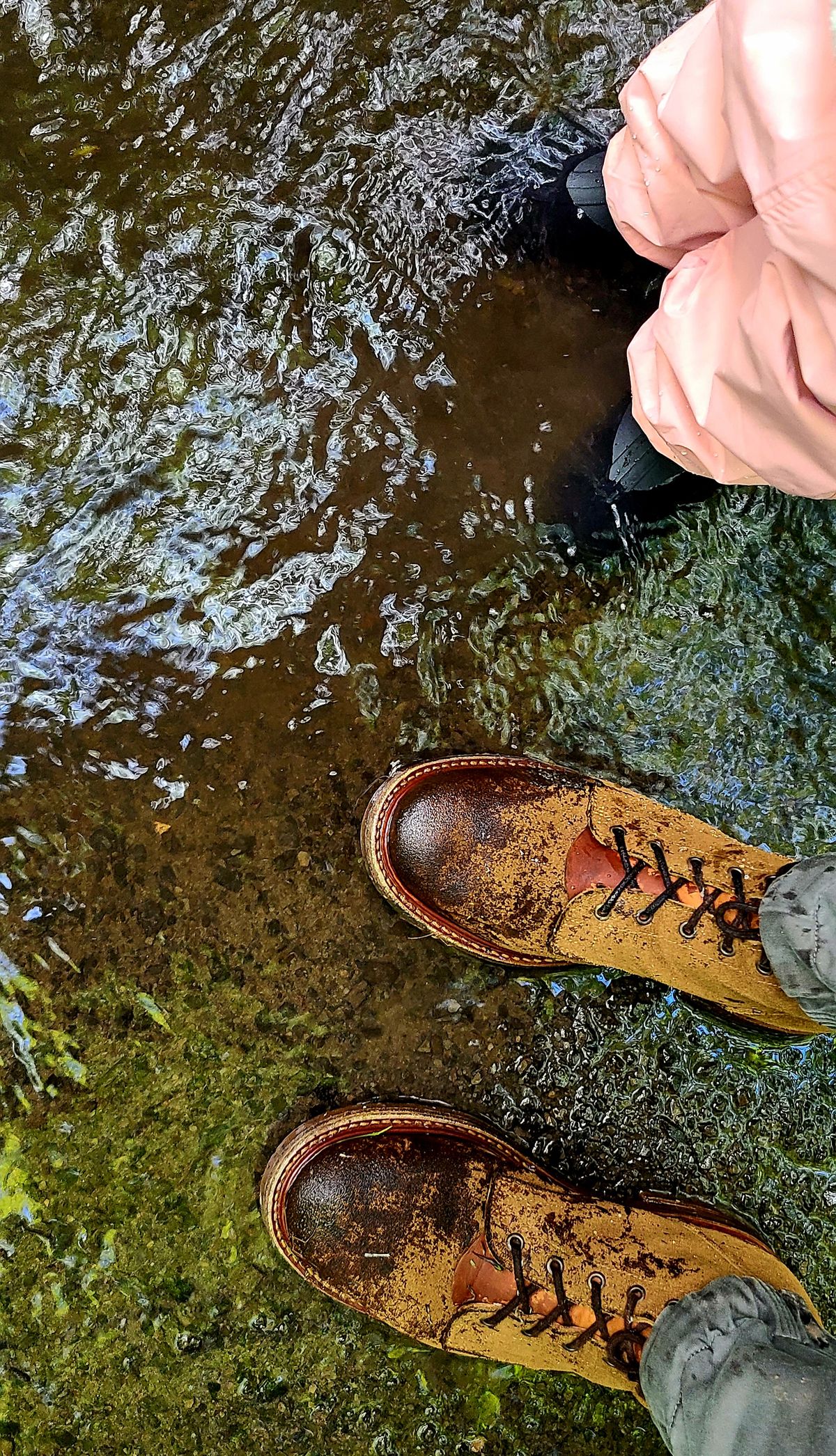 Photo by hoainp on September 2, 2024 of the Truman Plain Toe Boot in Dark Coyote Roughout.