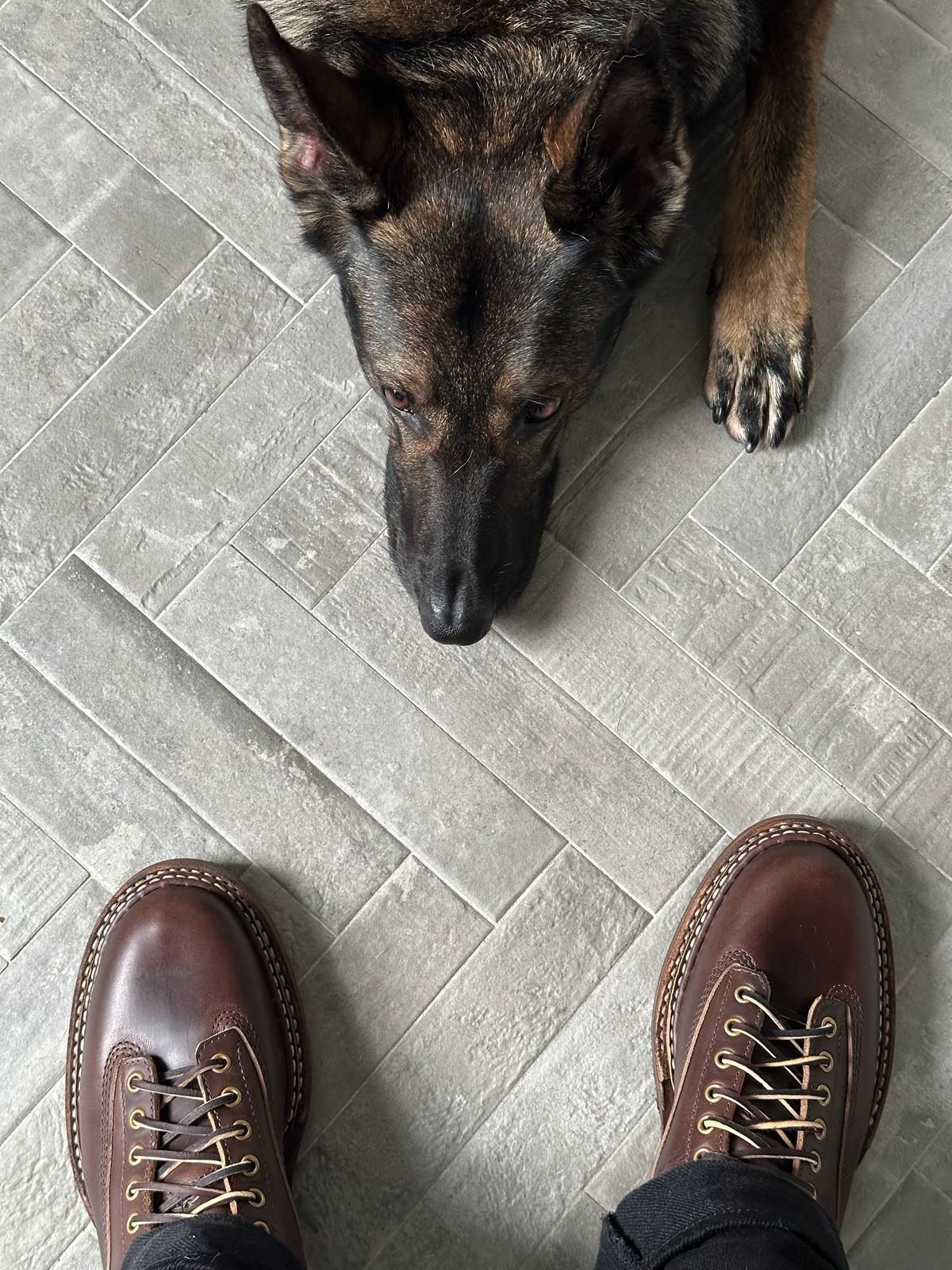 Photo by incorrectpath on October 1, 2025 of the White's 350 Cutter in Horween Brown Chromexcel.