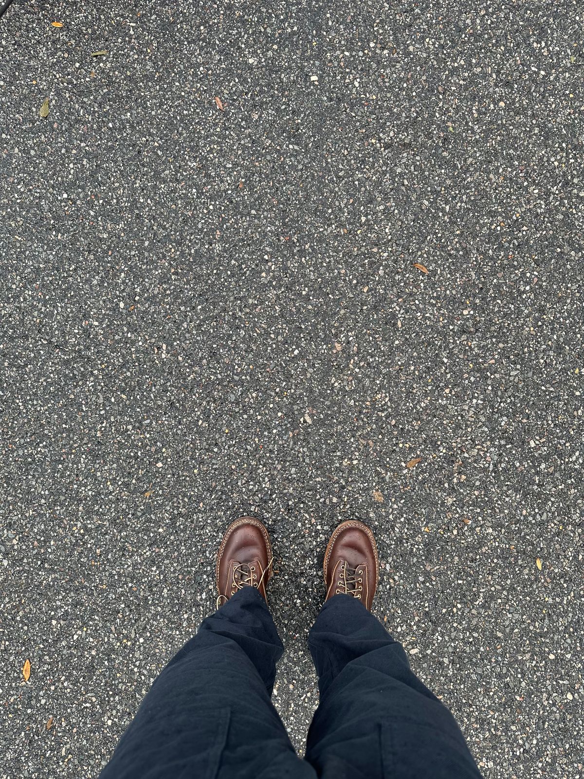 Photo by incorrectpath on October 30, 2025 of the White's 350 Cutter in Horween Brown Chromexcel.