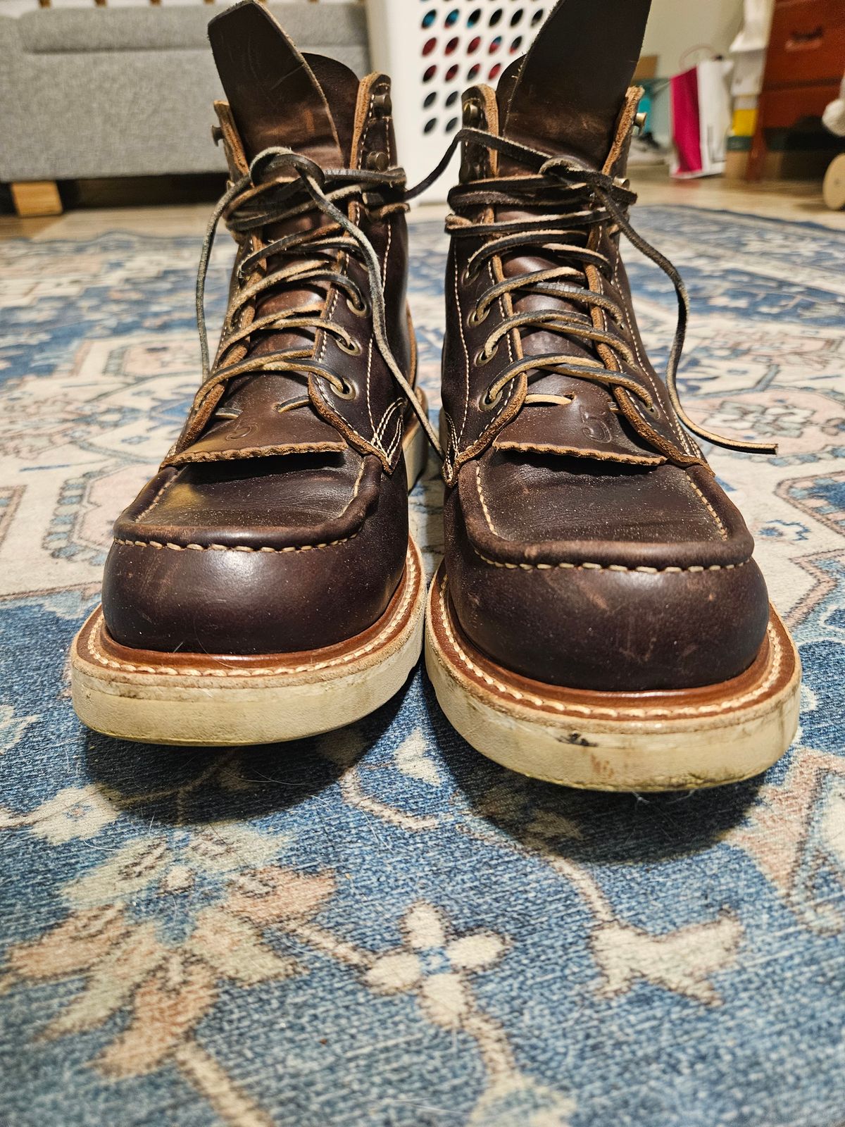 Photo by AJThrash on December 2, 2025 of the Truman Moc Toe in Seidel Bay Double Shot.