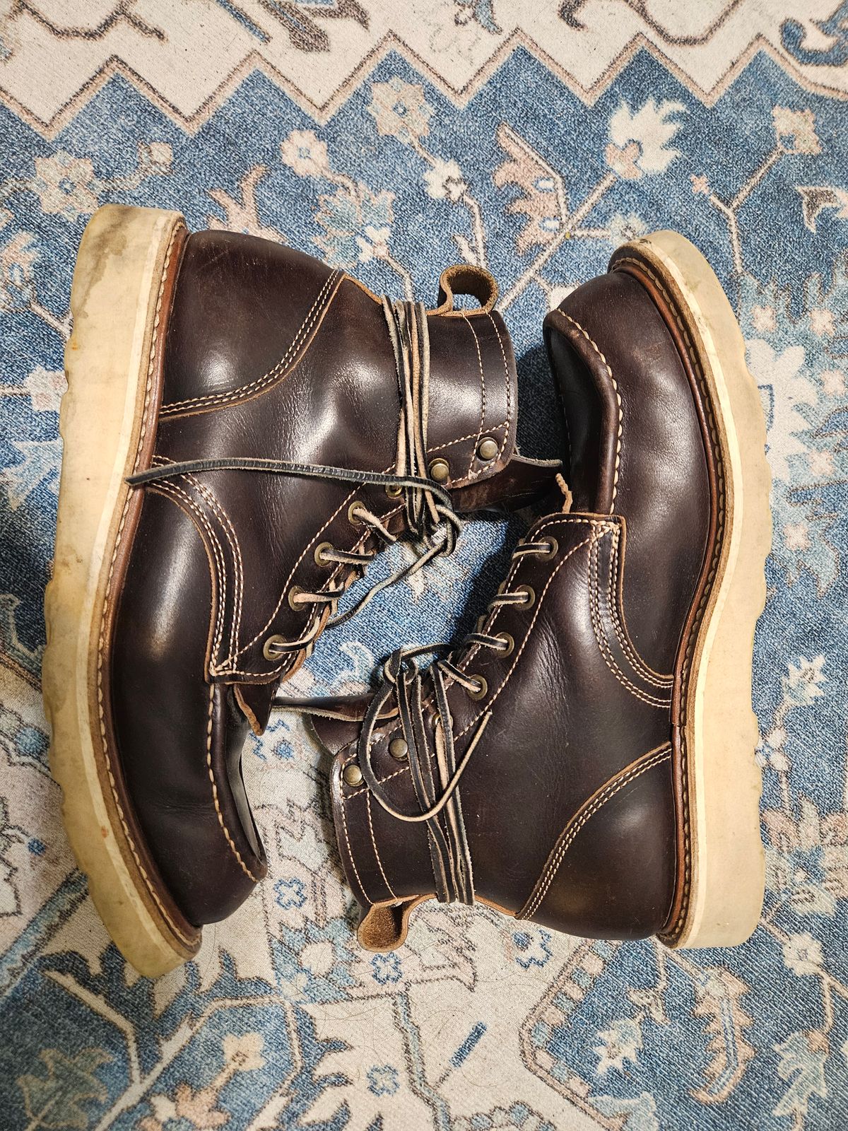 Photo by AJThrash on December 2, 2025 of the Truman Moc Toe in Seidel Bay Double Shot.