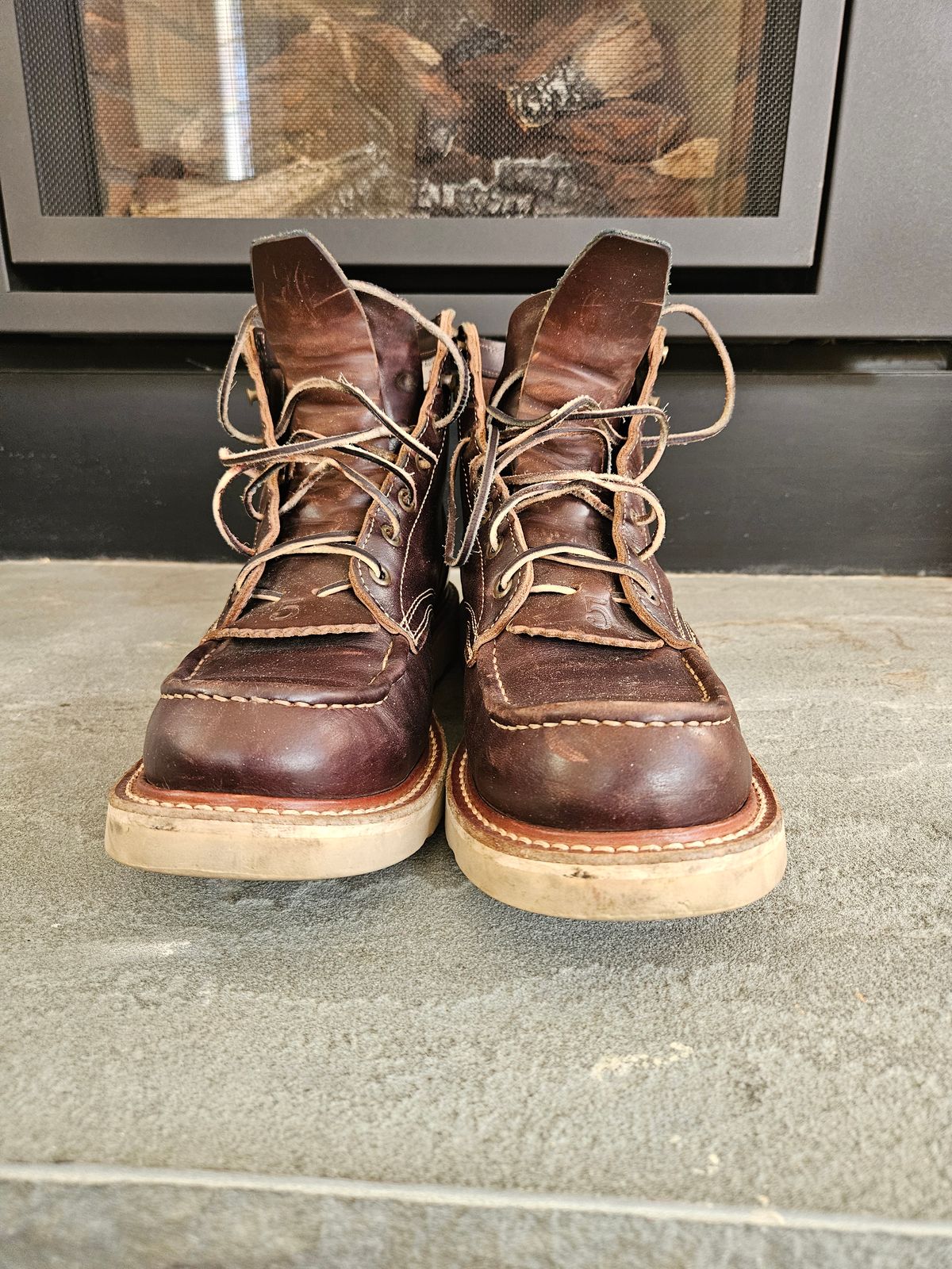 Photo by AJThrash on January 1, 2026 of the Truman Moc Toe in Seidel Bay Double Shot.