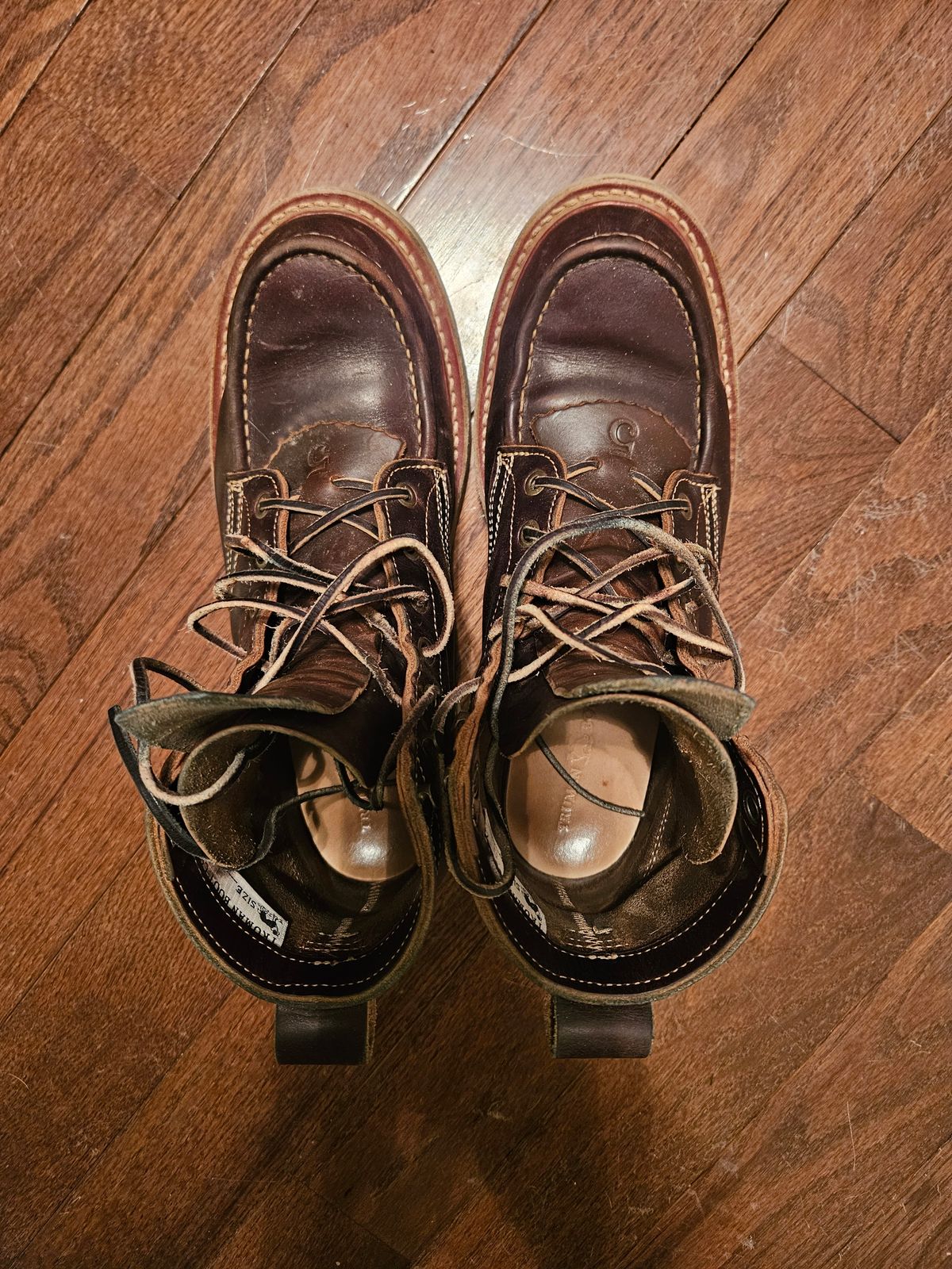 Photo by AJThrash on February 3, 2026 of the Truman Moc Toe in Seidel Bay Double Shot.