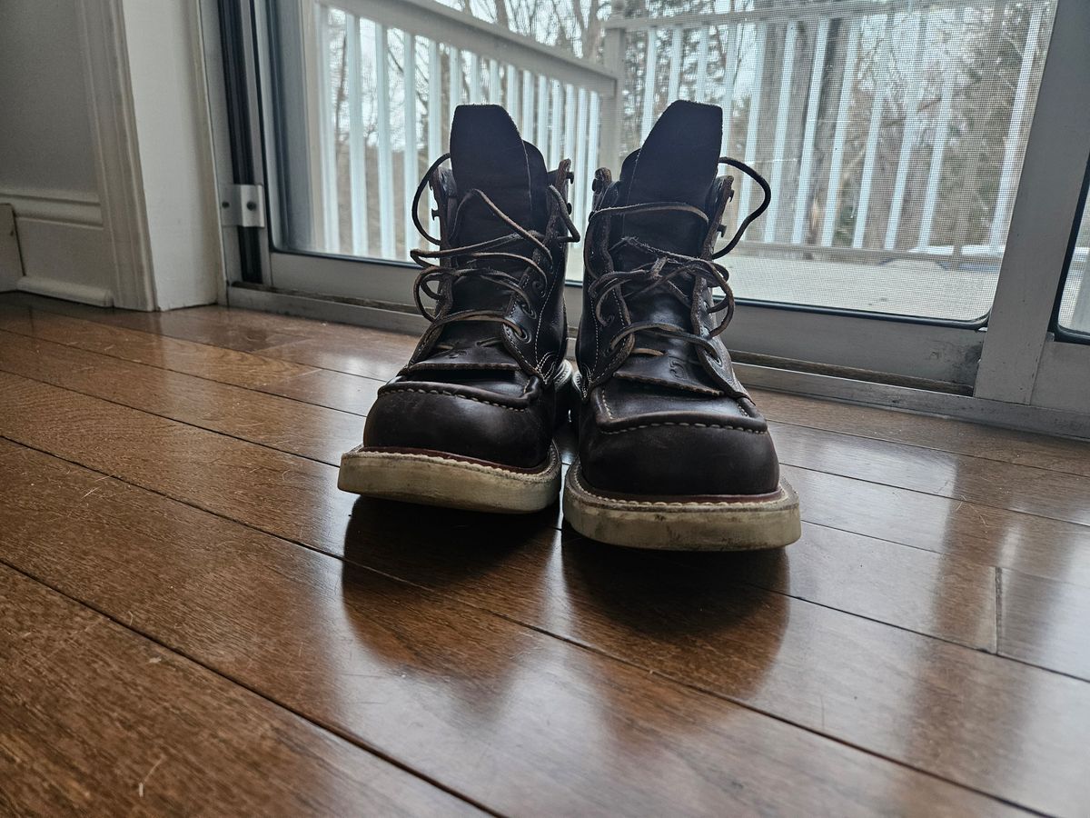 Photo by AJThrash on March 1, 2026 of the Truman Moc Toe in Seidel Bay Double Shot.