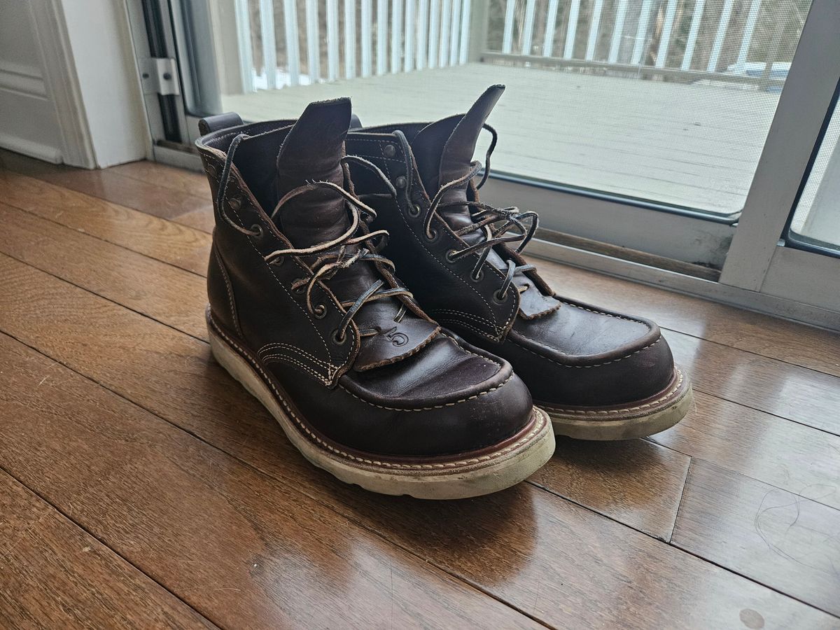 Photo by AJThrash on March 1, 2026 of the Truman Moc Toe in Seidel Bay Double Shot.