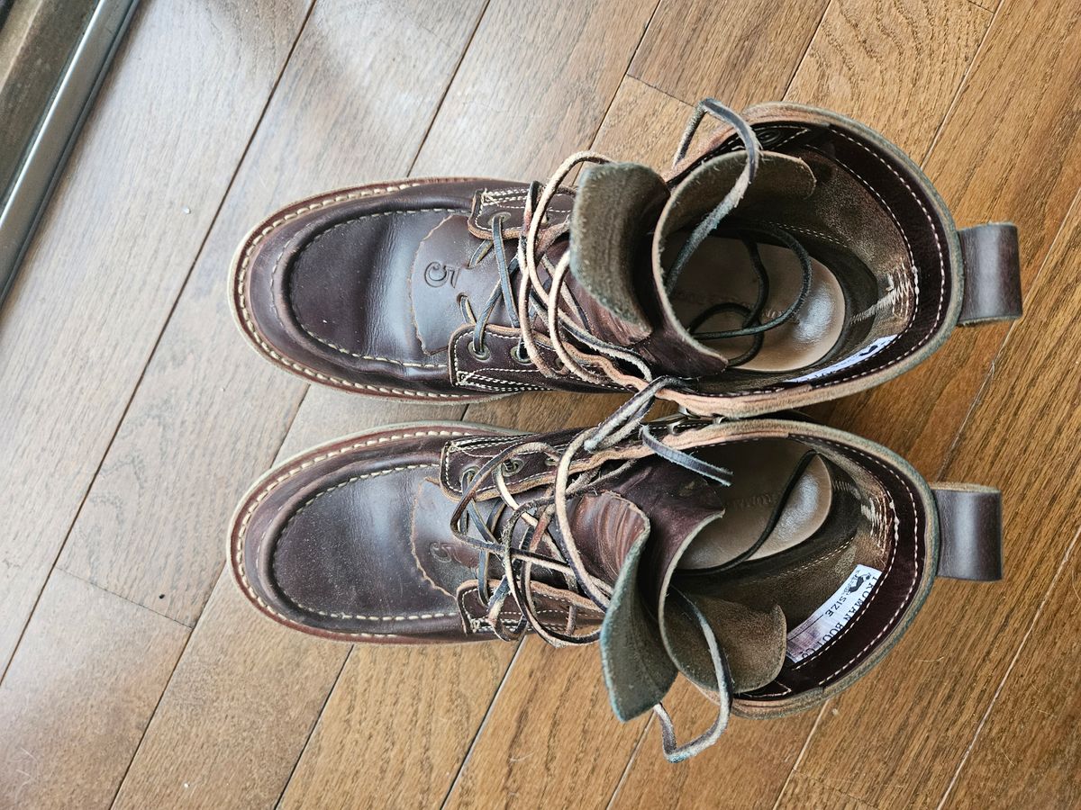 Photo by AJThrash on March 1, 2026 of the Truman Moc Toe in Seidel Bay Double Shot.