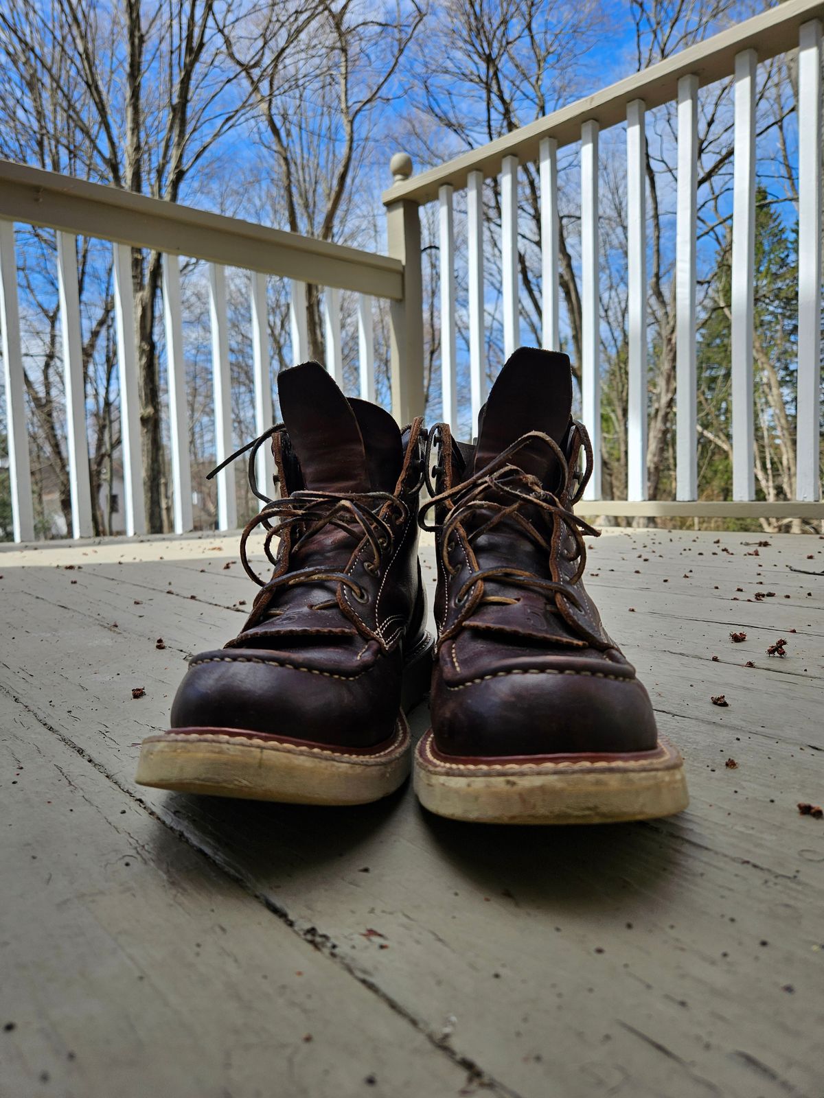 Photo by AJThrash on April 4, 2026 of the Truman Moc Toe in Seidel Bay Double Shot.